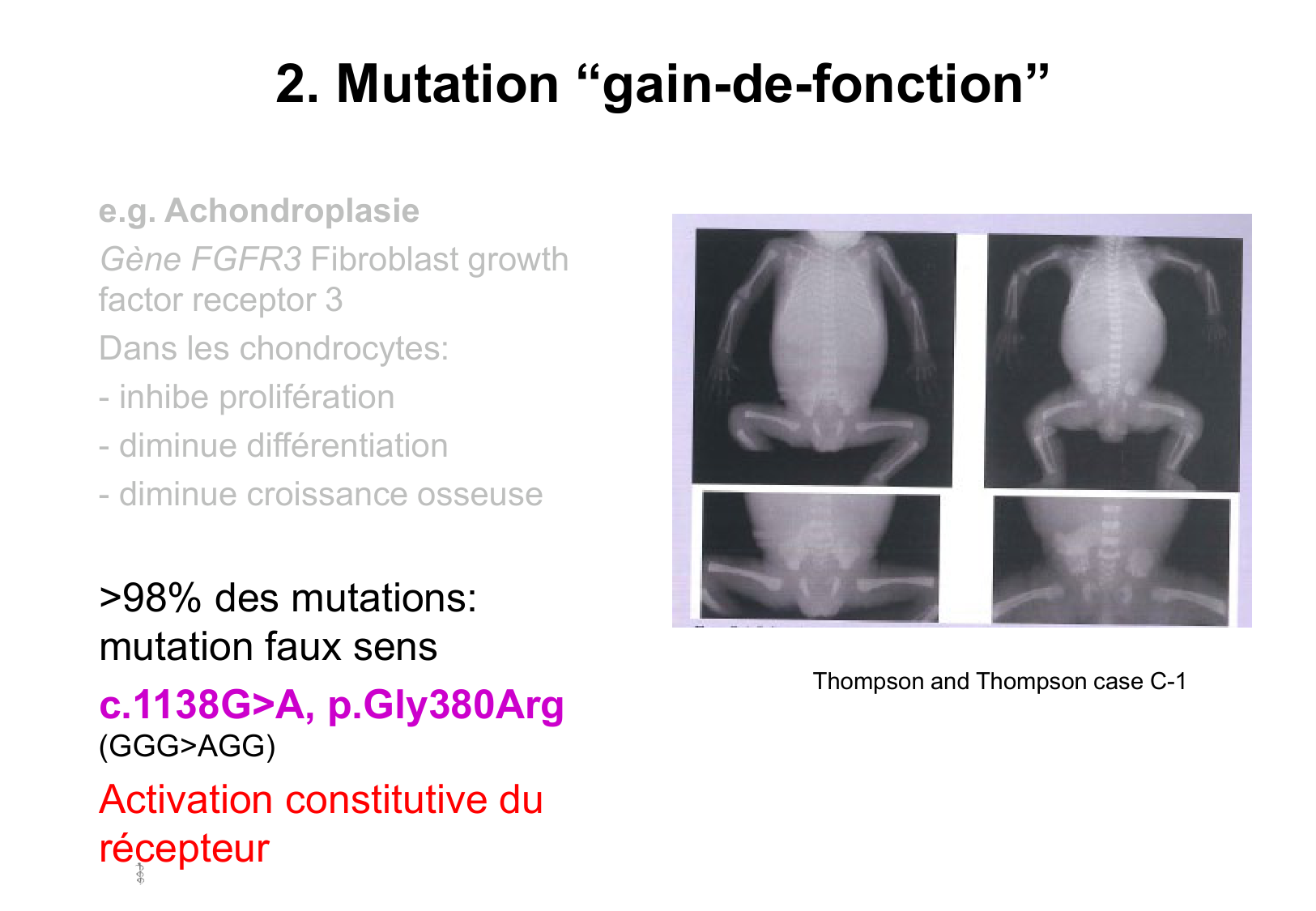 Hérédité I page 49