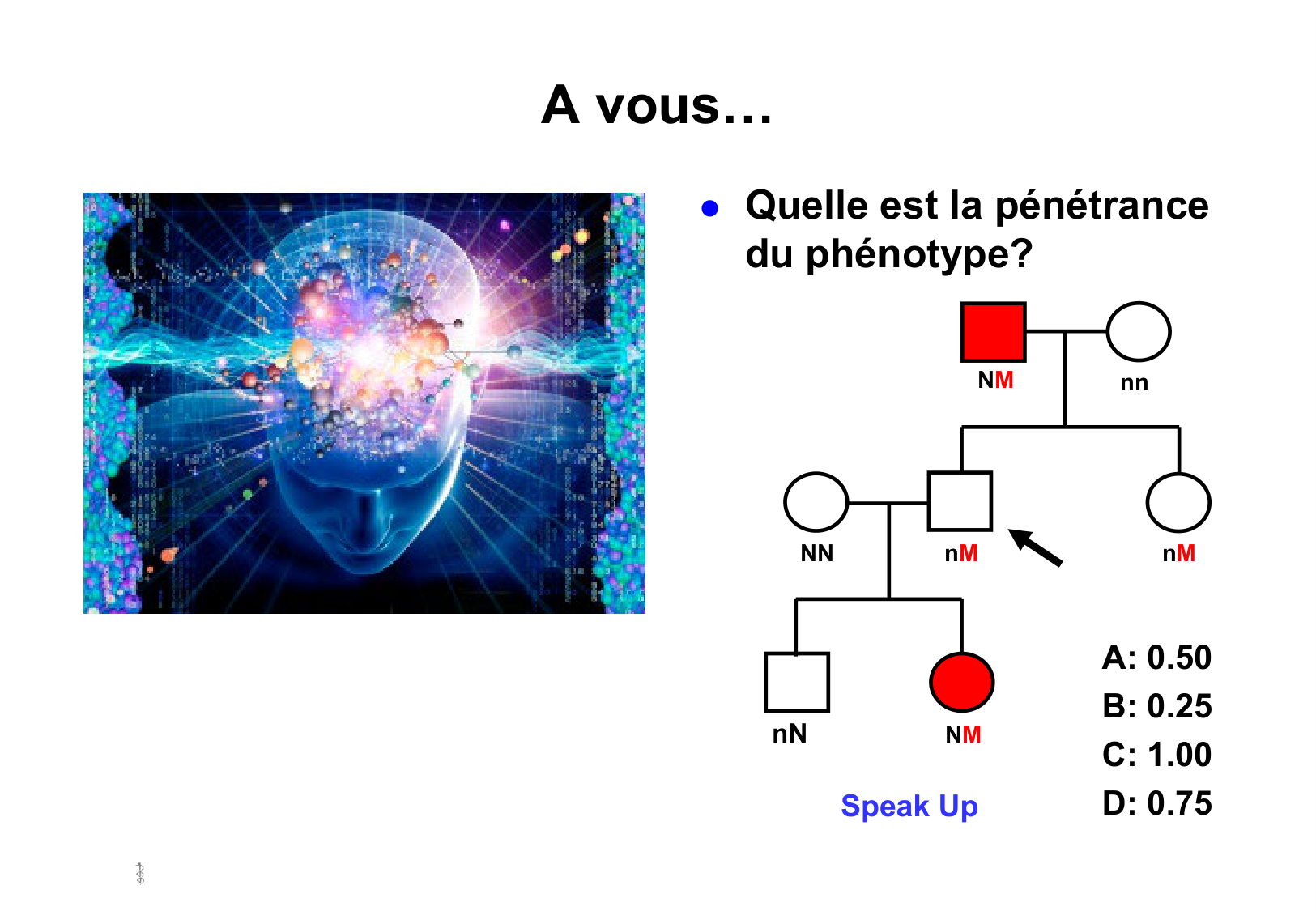 Hérédité I page 58