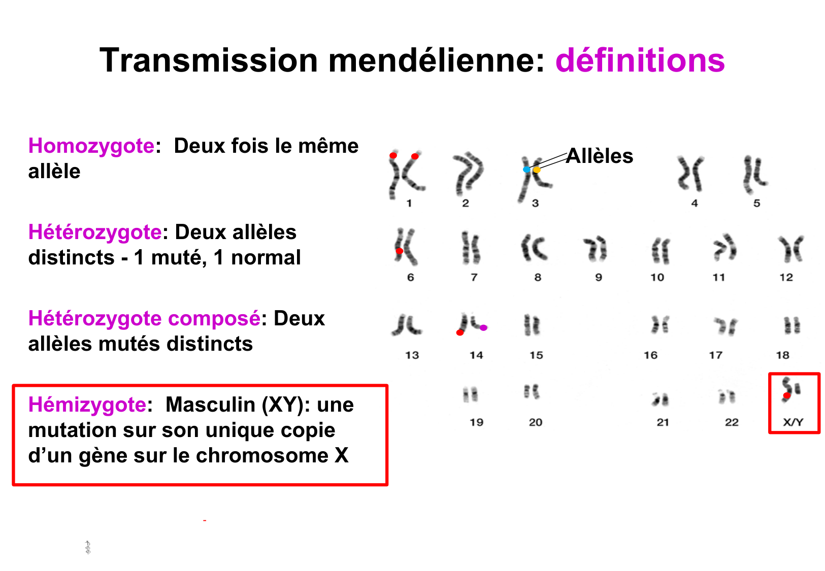 Hérédité II page 5