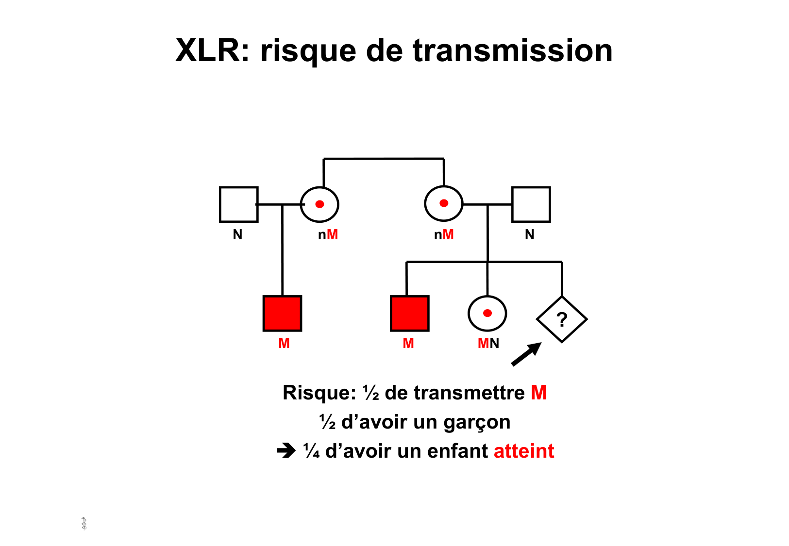 Hérédité II page 10
