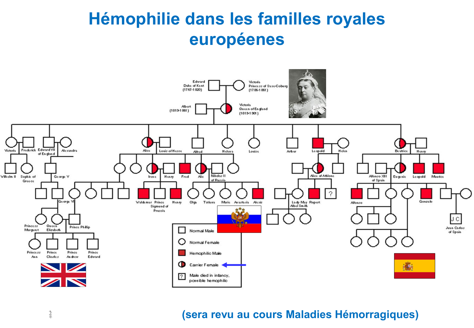 Hérédité II page 11