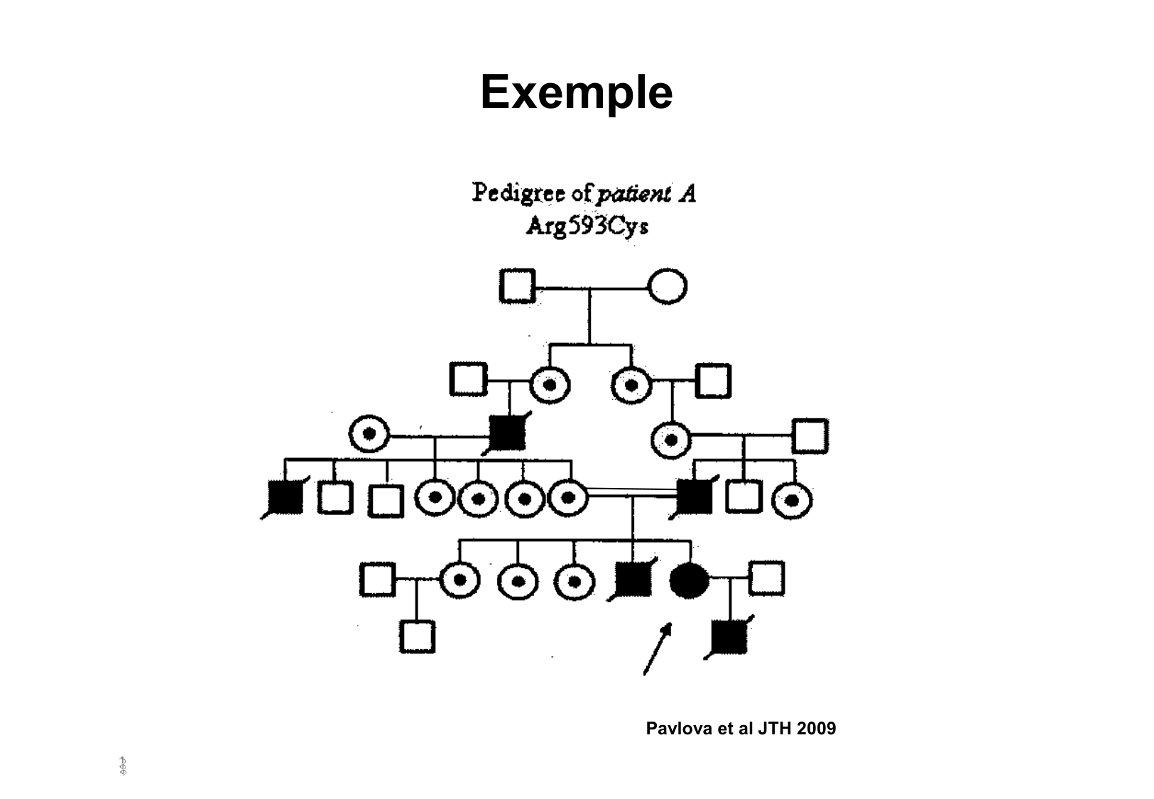Hérédité II page 17