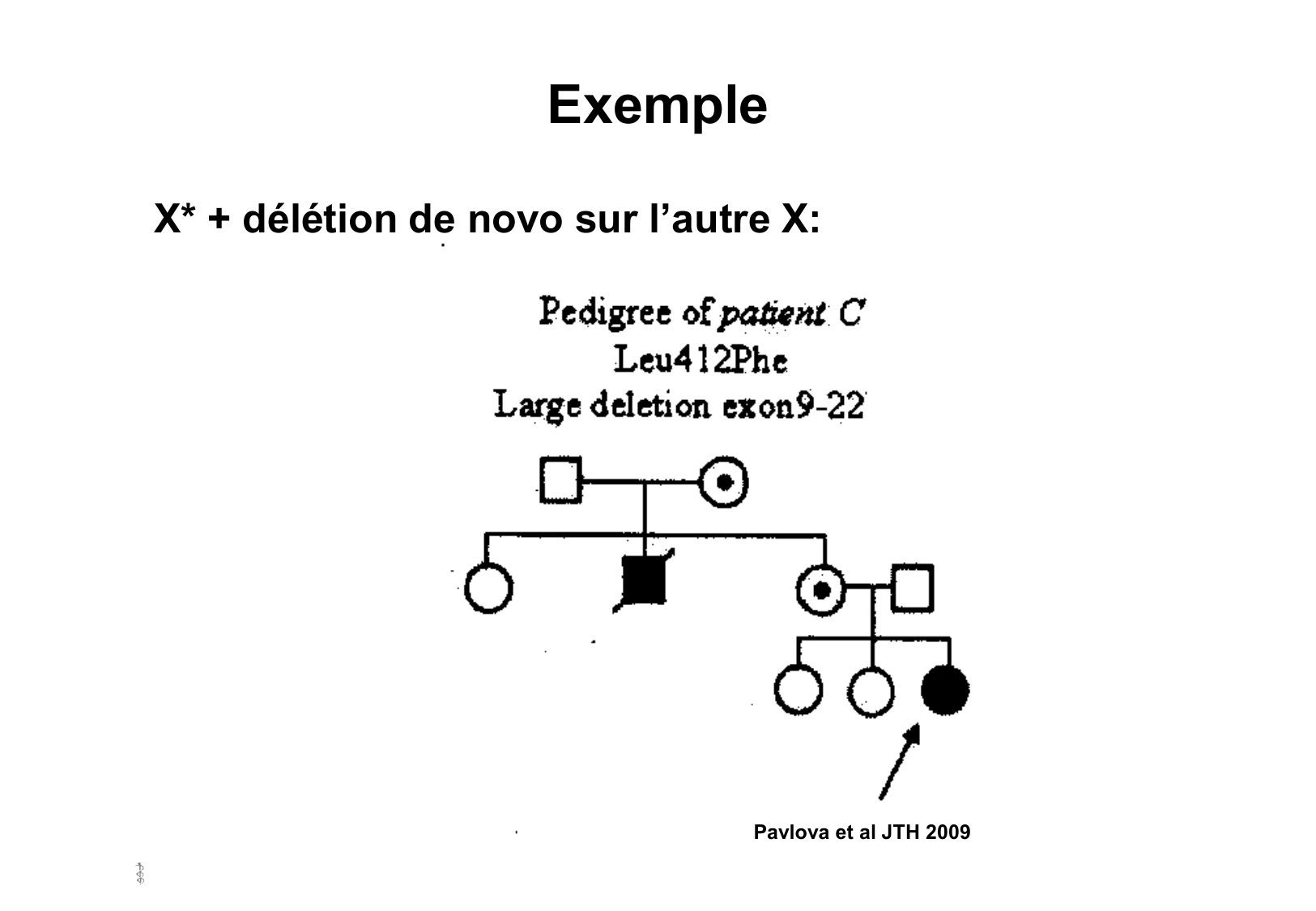 Hérédité II page 19