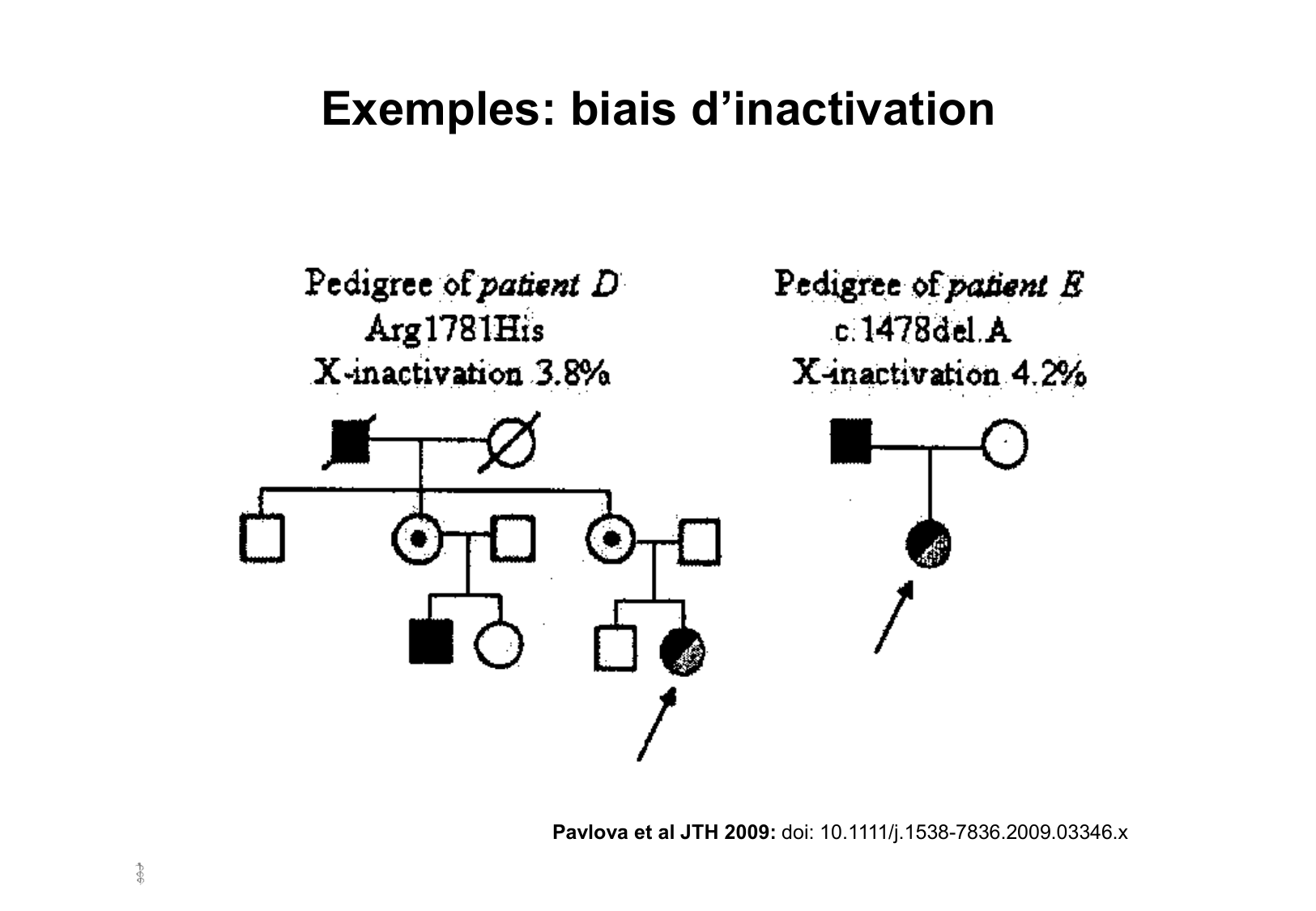 Hérédité II page 21