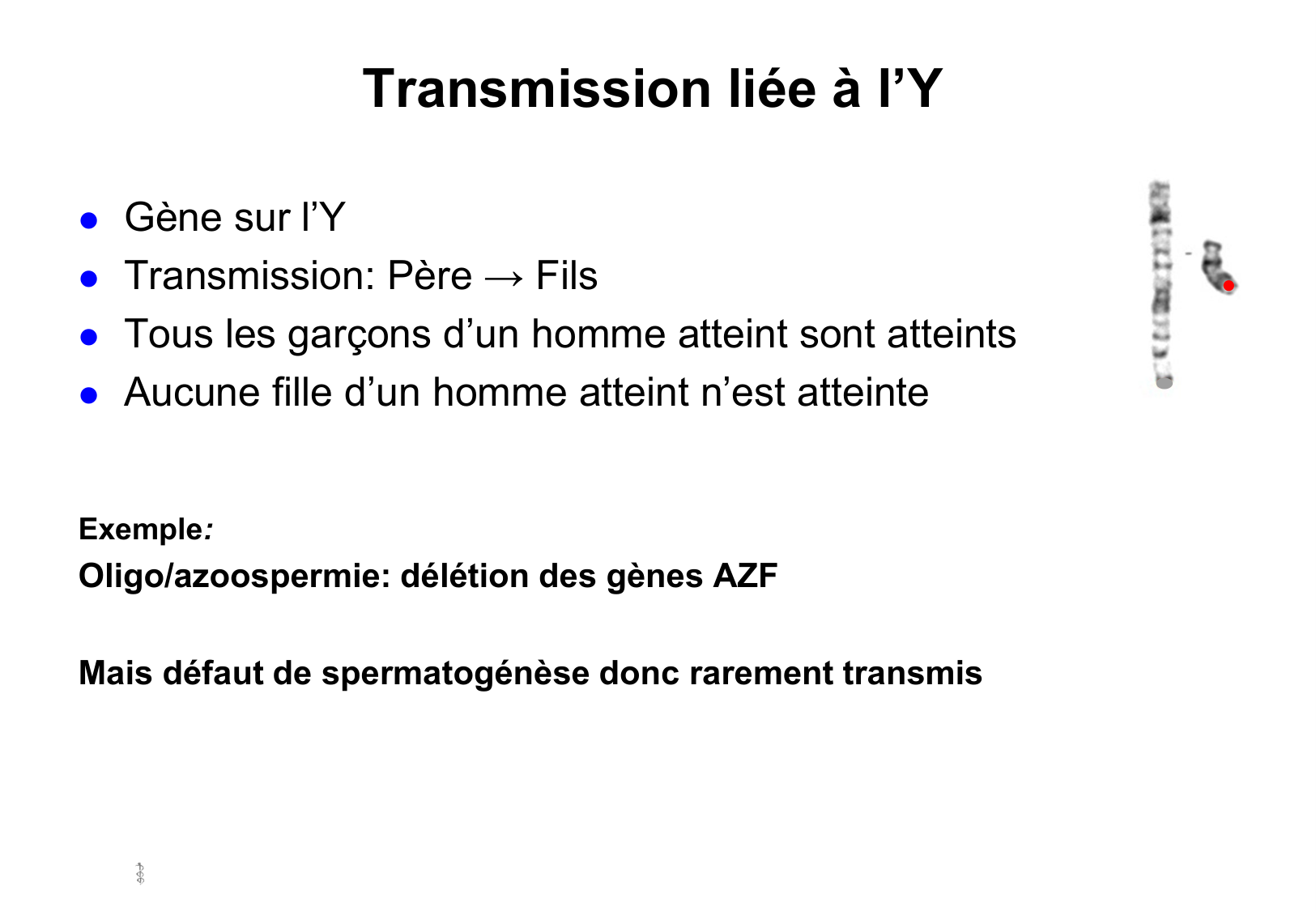 Hérédité II page 26