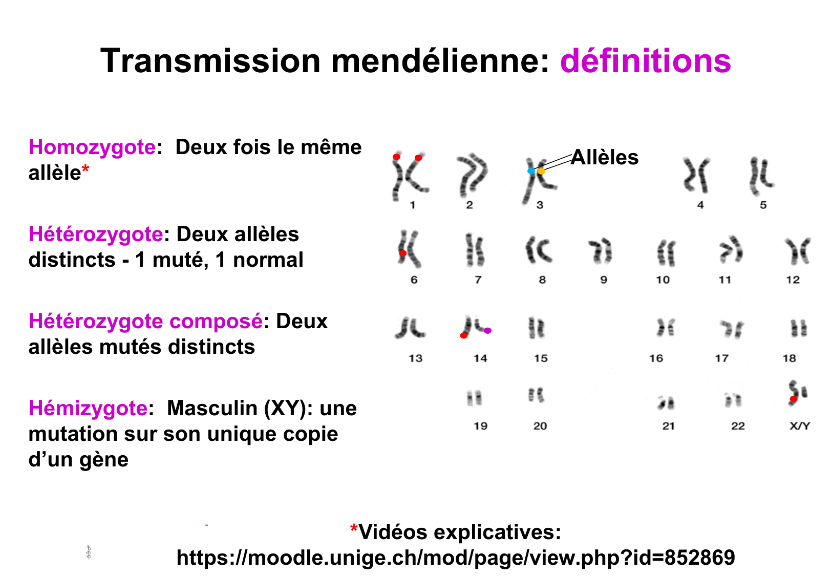 Hérédité I — objectifs page 6