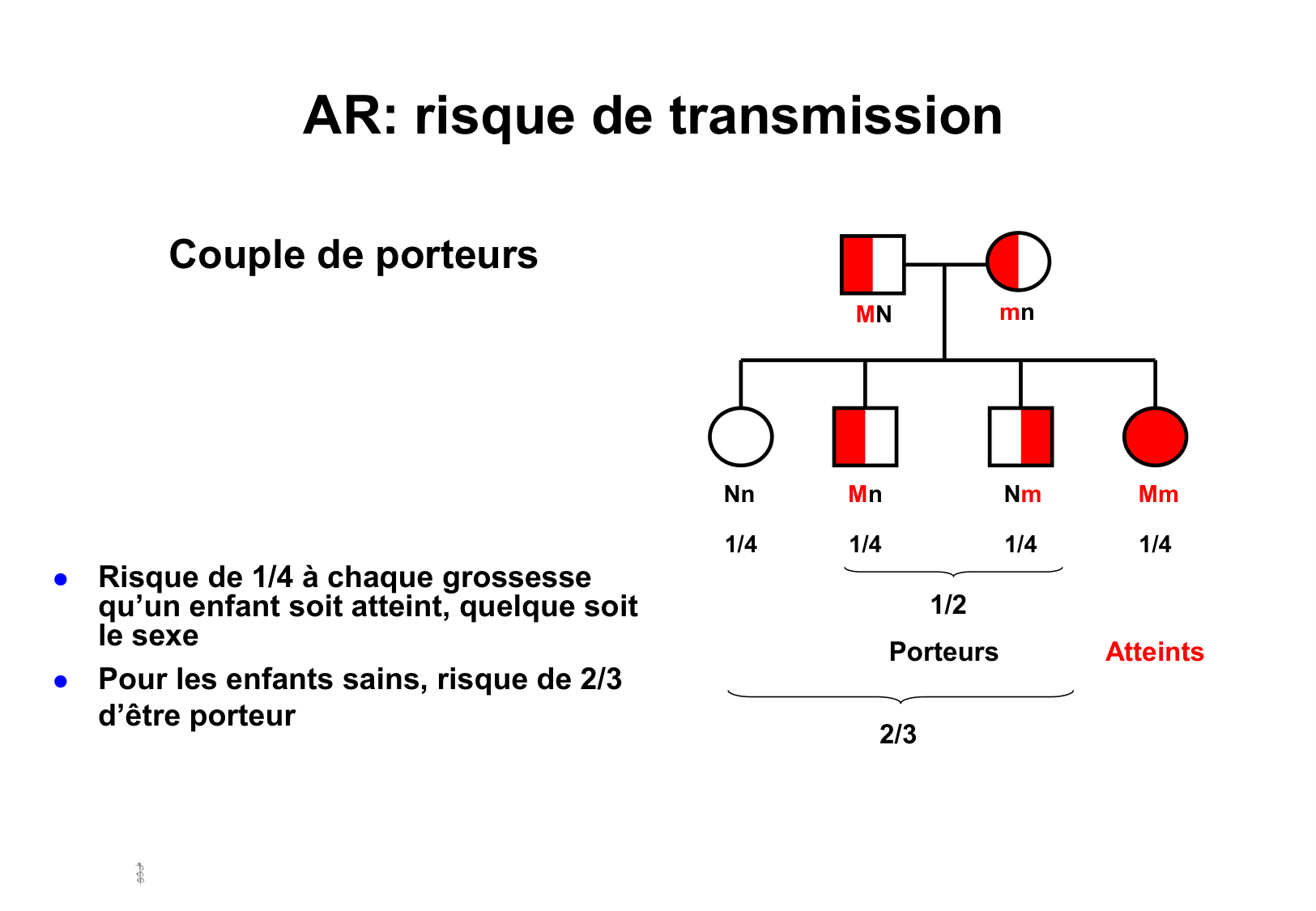 Hérédité I — objectifs page 12