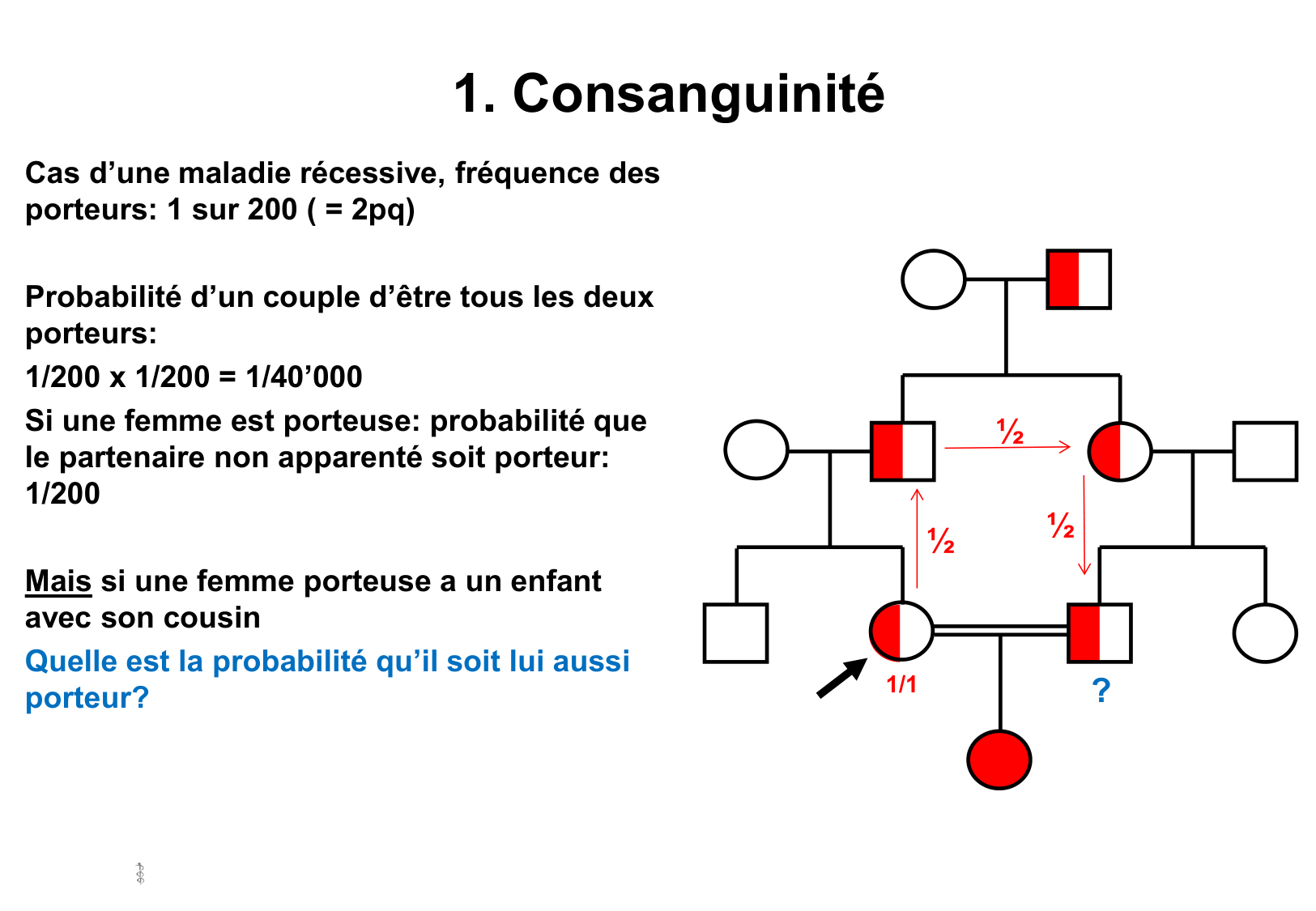Hérédité I — objectifs page 25