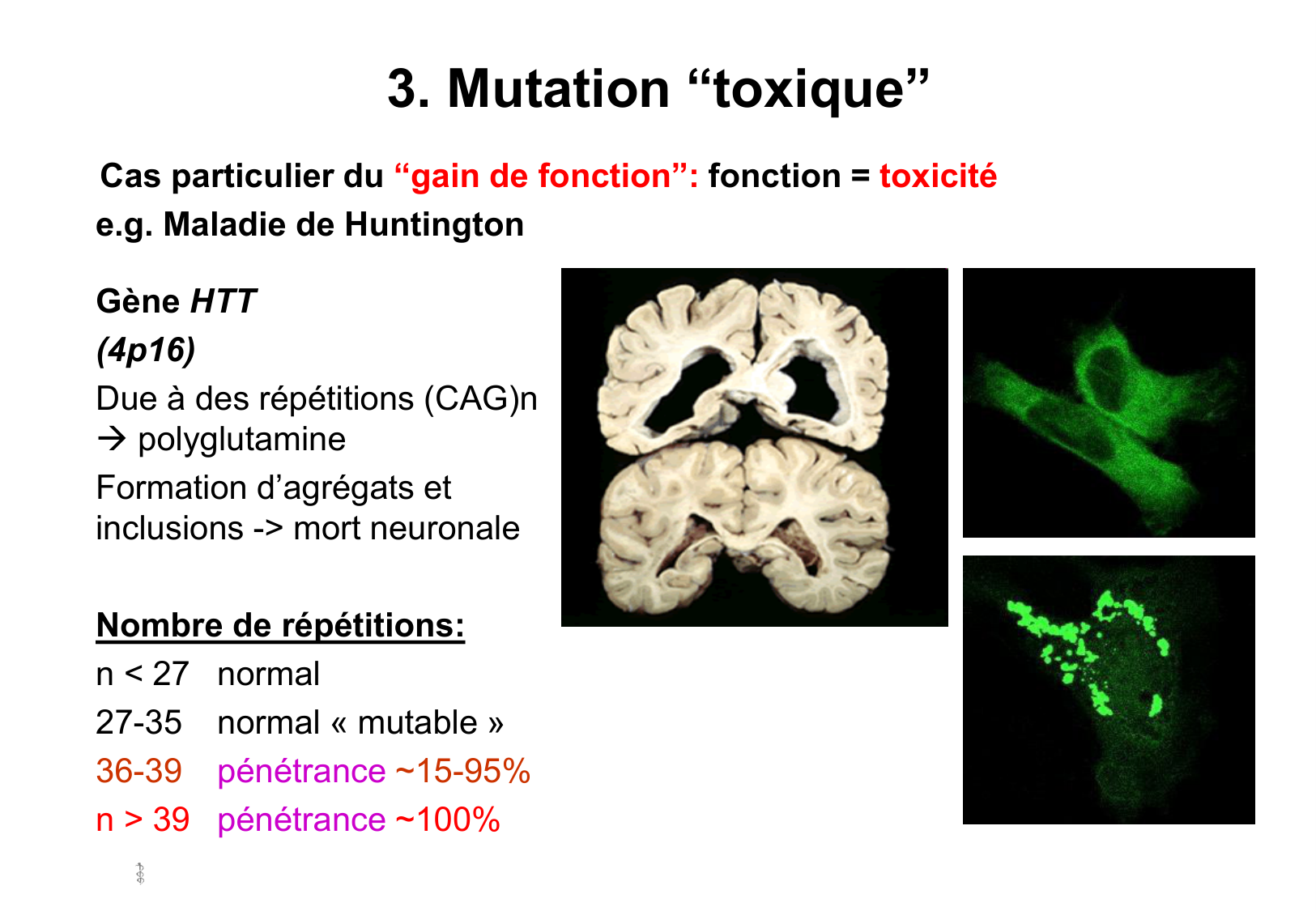 Hérédité I — objectifs page 51