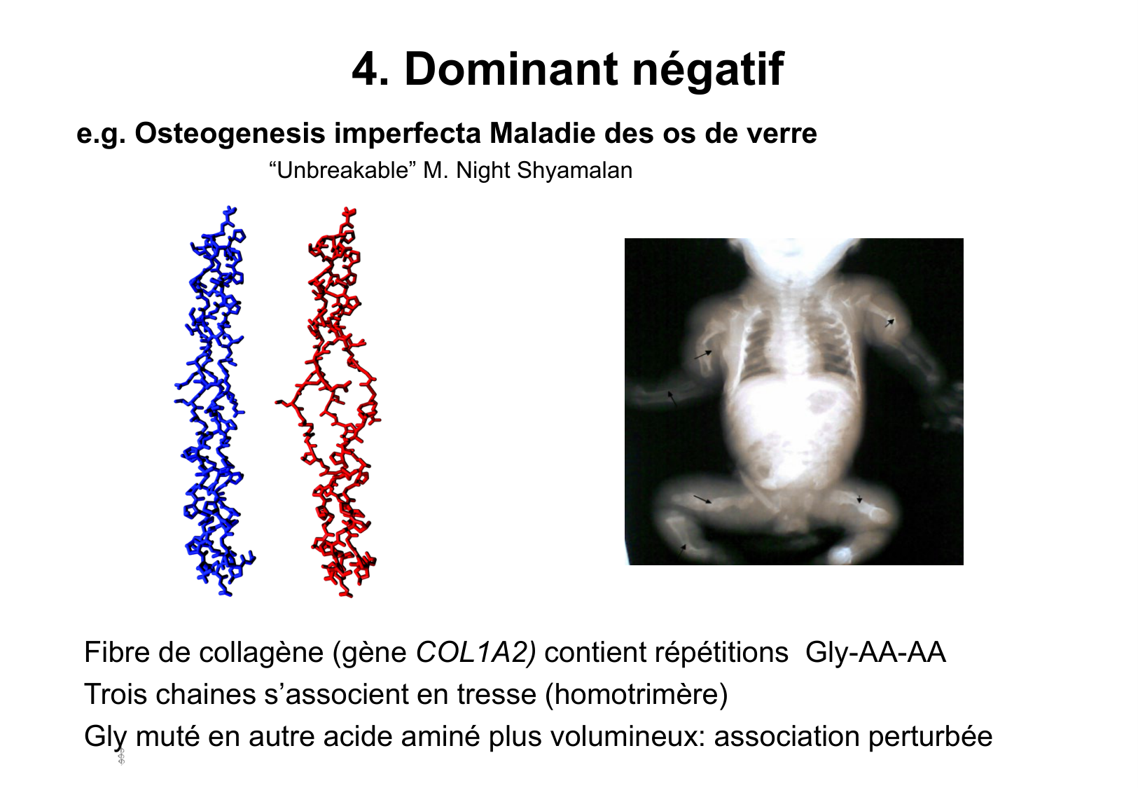 Hérédité I — objectifs page 53