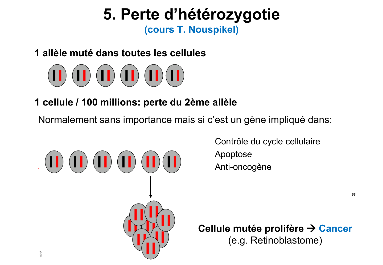 Hérédité I — objectifs page 54