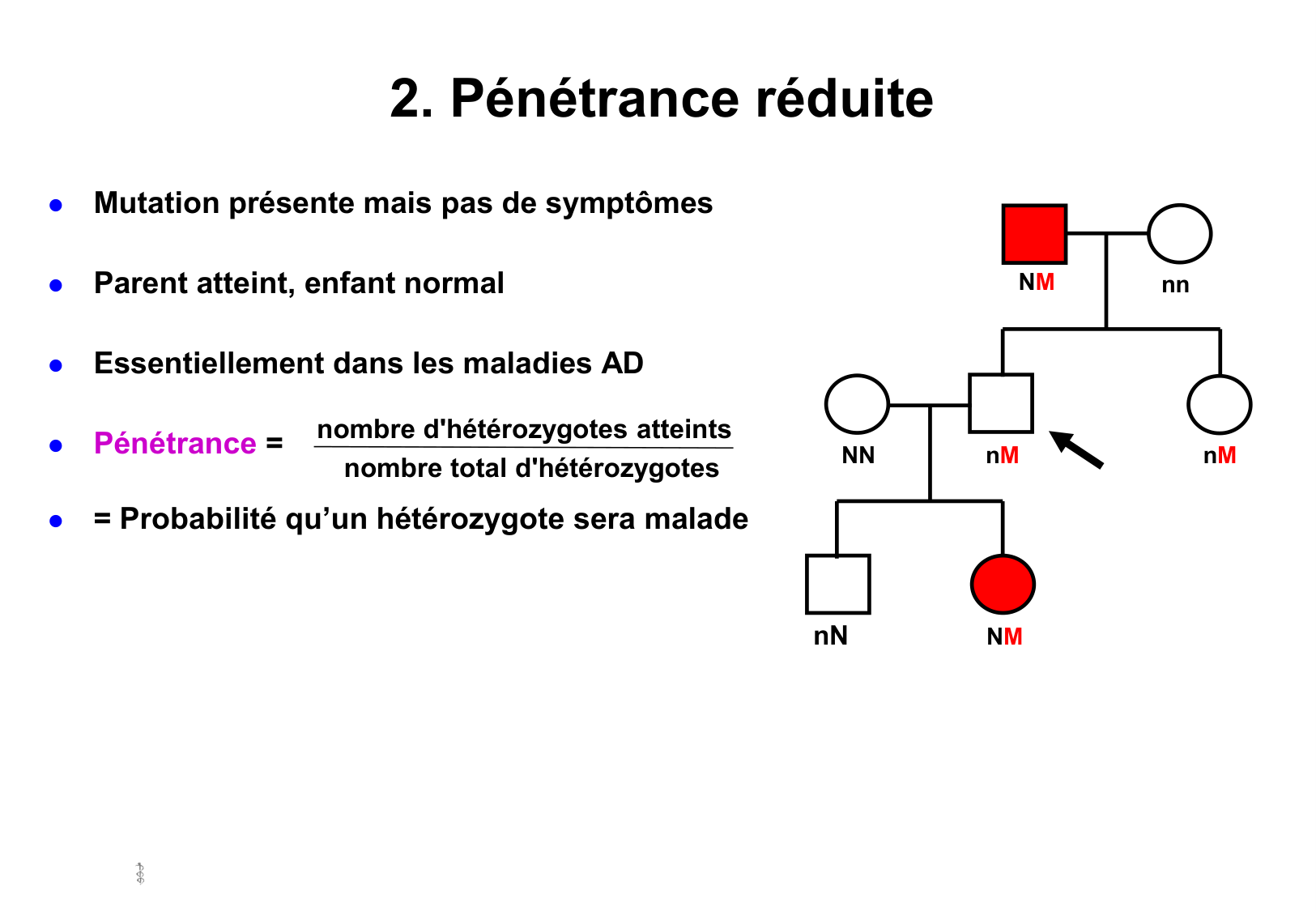 Hérédité I — objectifs page 58