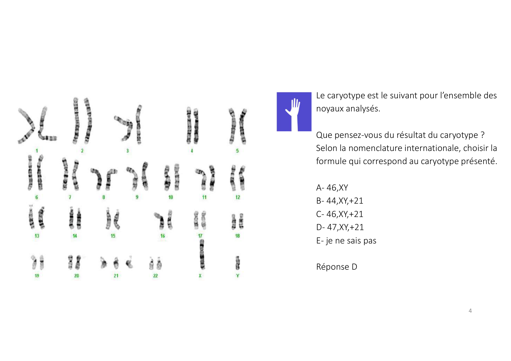 TD de génétique humaine · corrections page 4