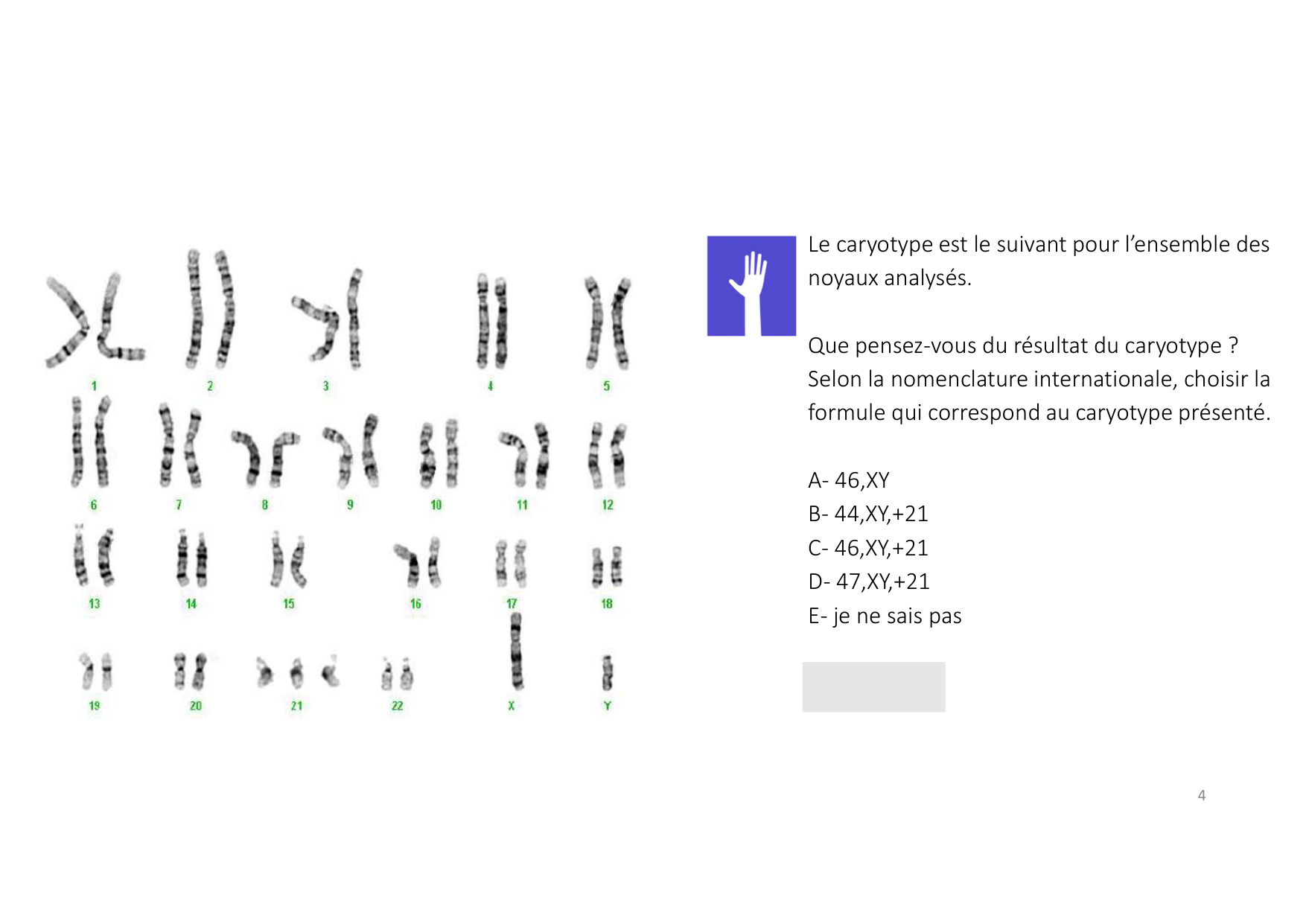 TD de génétique humaine page 4