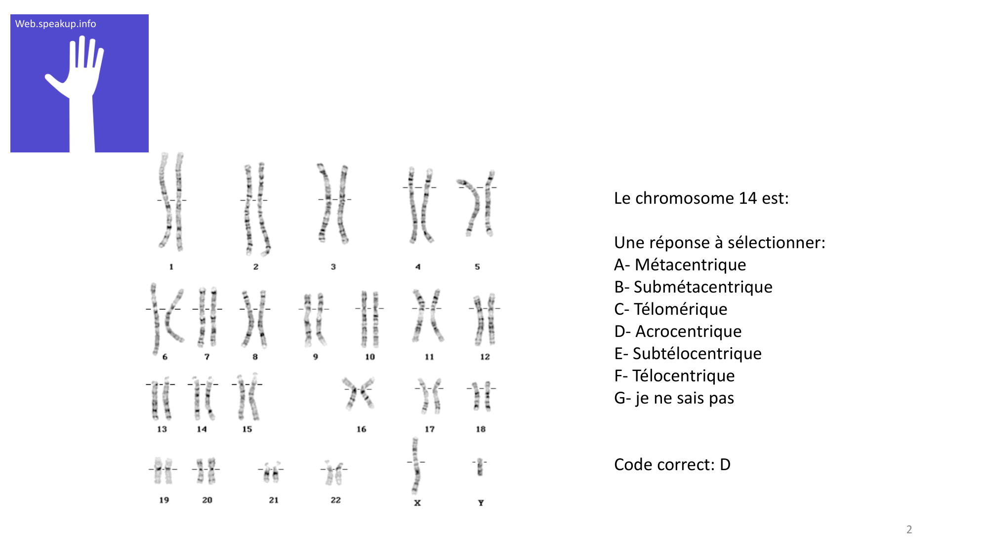 Génétique humaine — session 1 · corrections page 2
