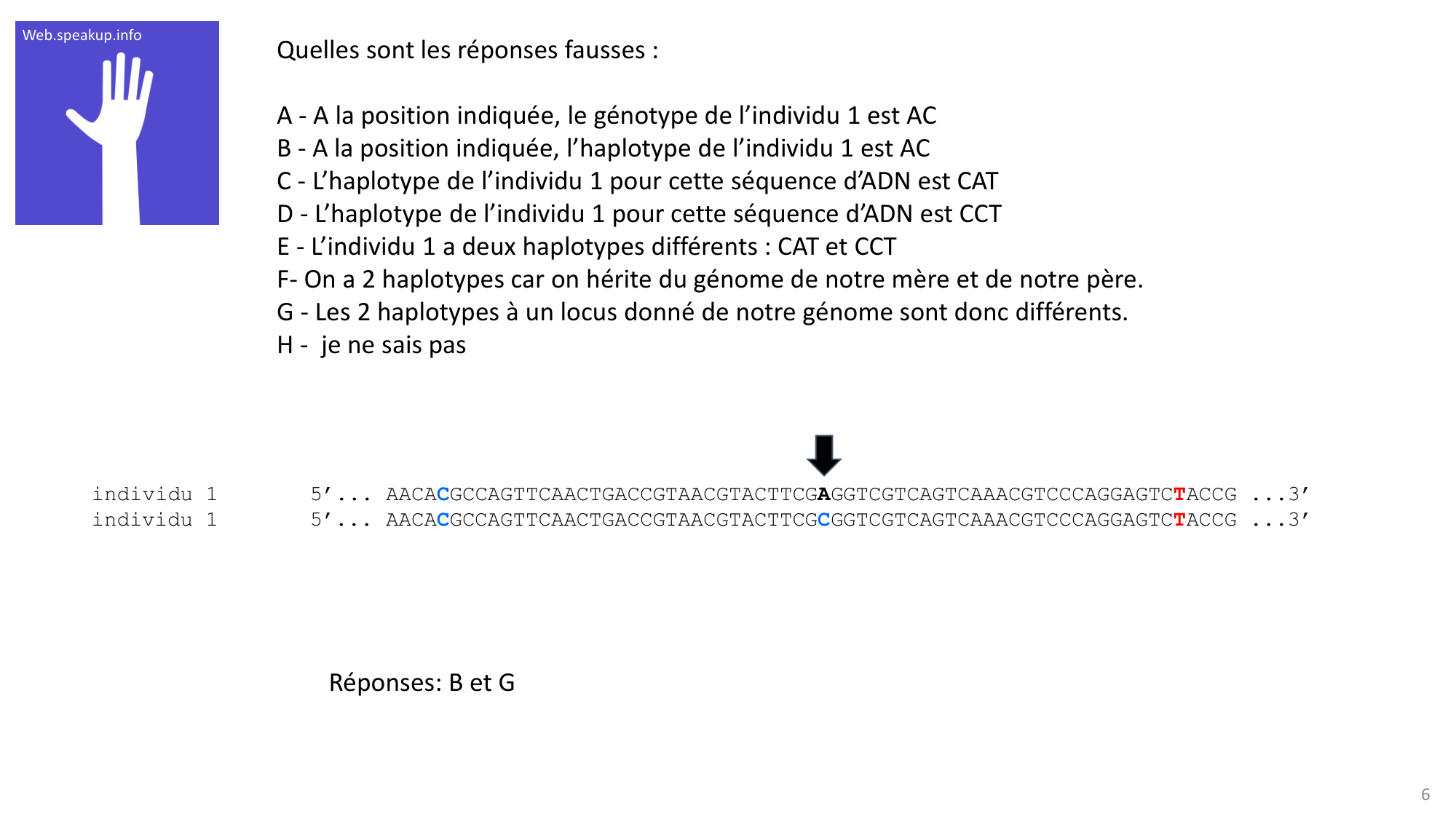 Génétique humaine — session 1 · corrections page 6