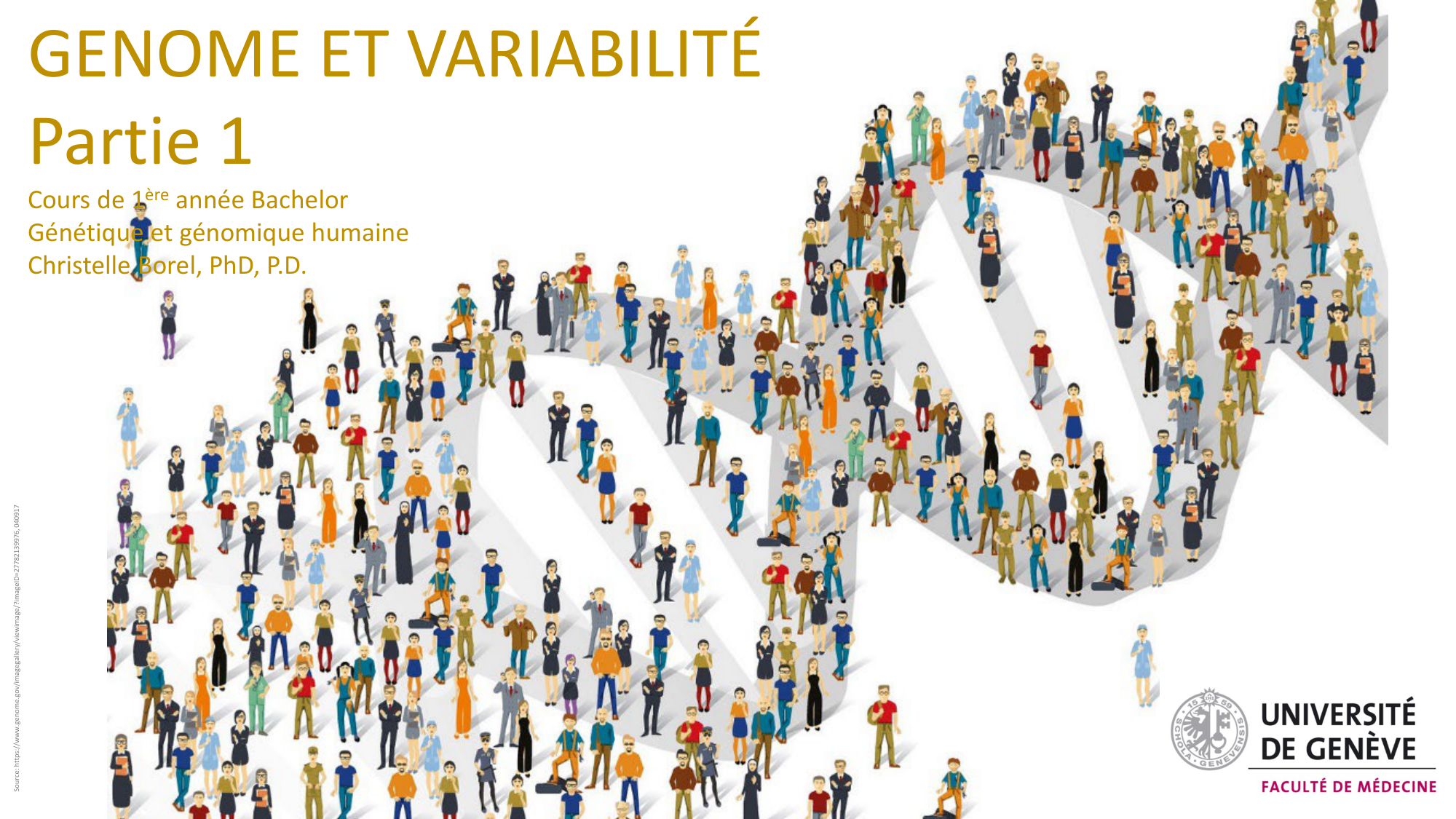 Génétique humaine — session 1 page 4