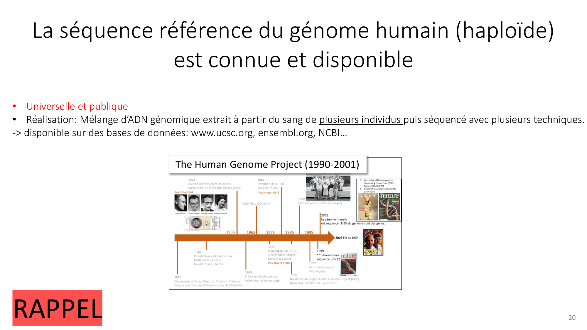 Génétique humaine — session 1 page 20
