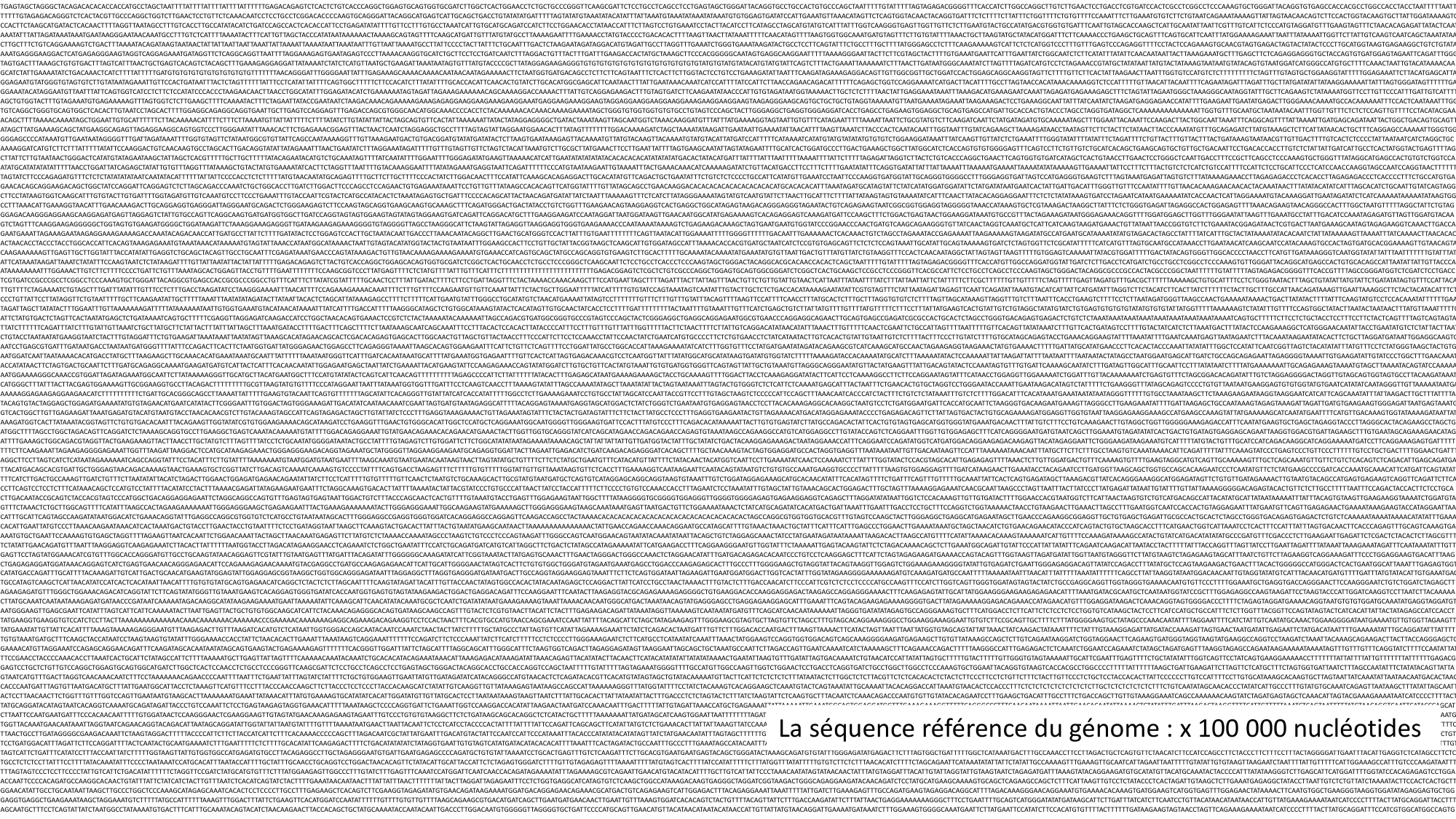 Génétique humaine — session 1 page 21