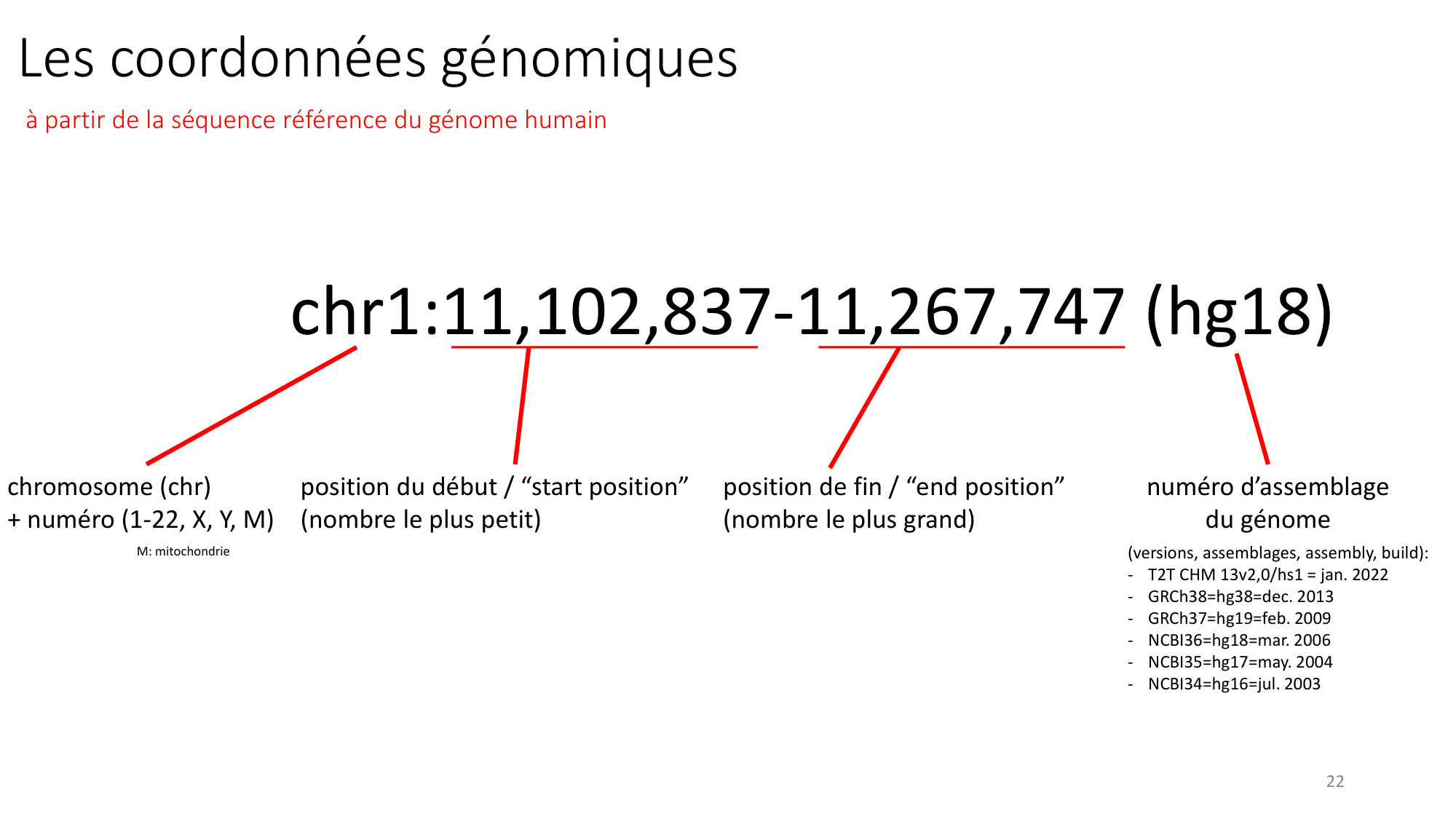 Génétique humaine — session 1 page 22