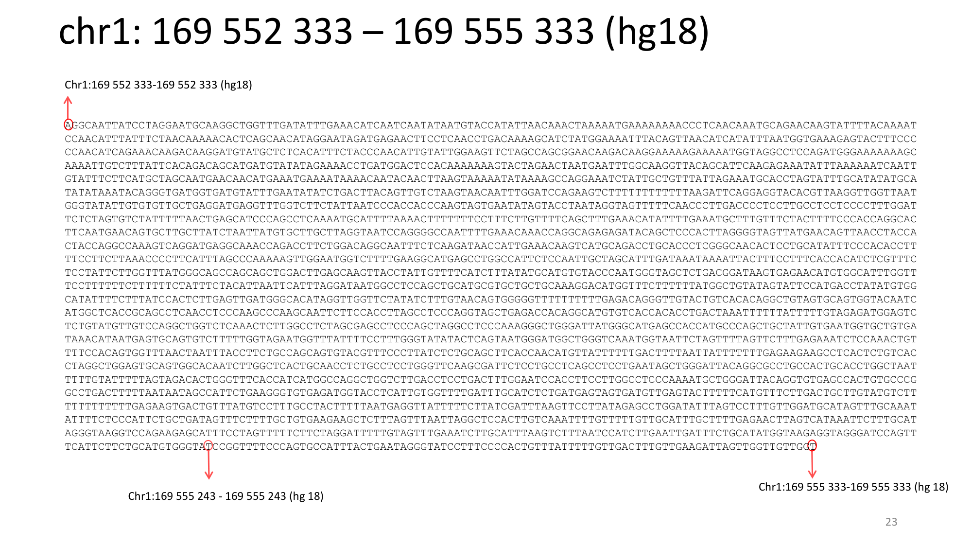 Génétique humaine — session 1 page 23