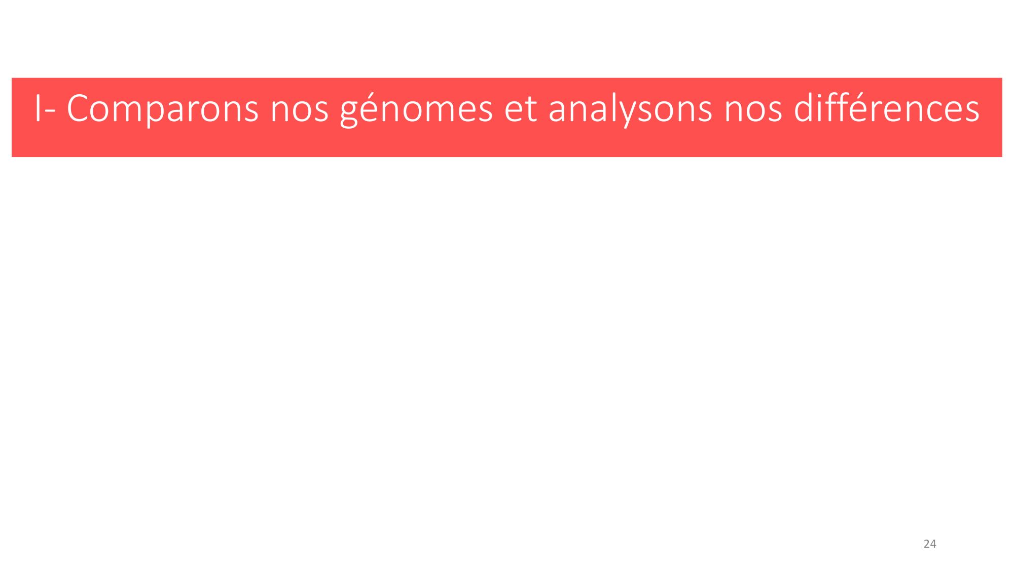 Génétique humaine — session 1 page 24