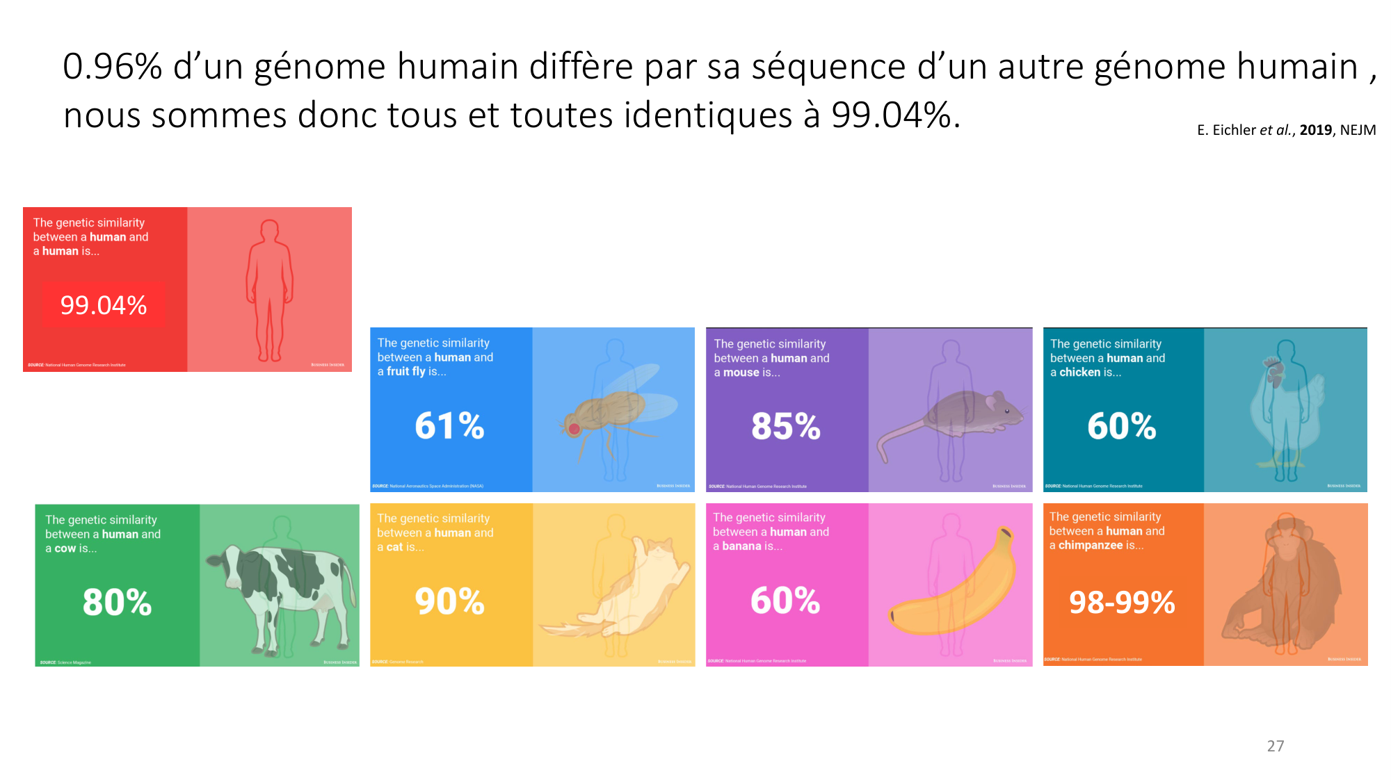 Génétique humaine — session 1 page 27