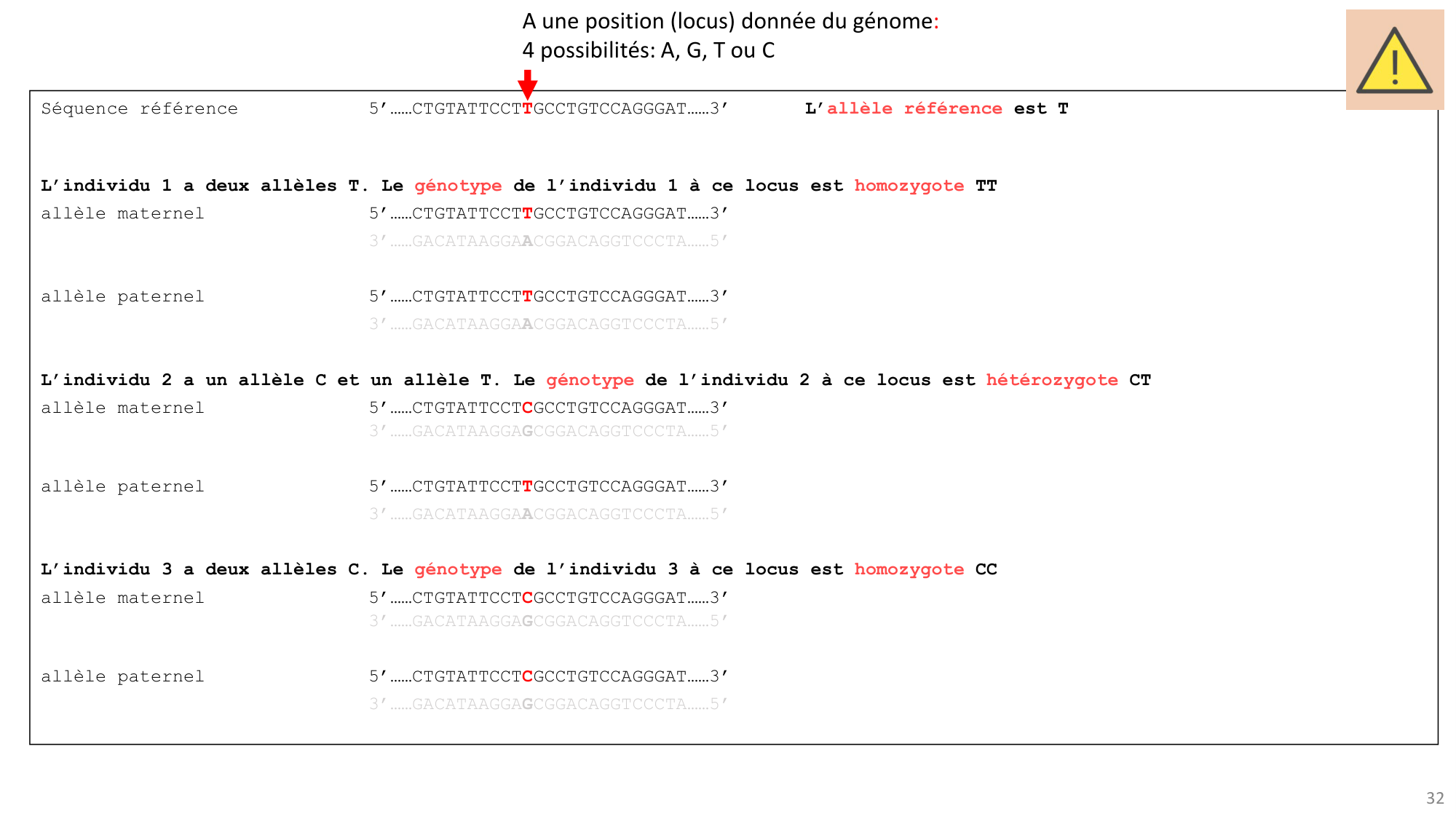 Génétique humaine — session 1 page 32