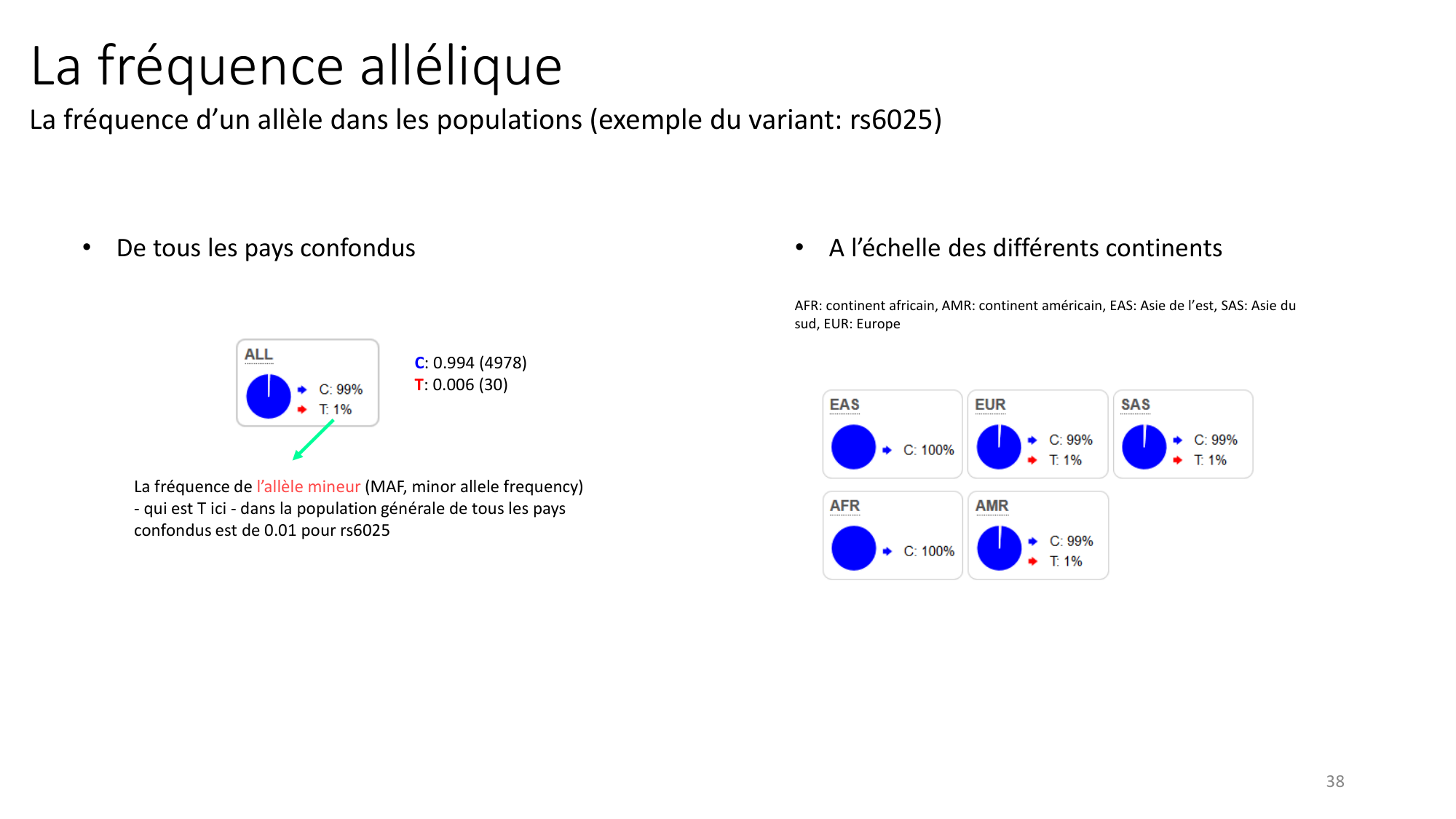 Génétique humaine — session 1 page 38