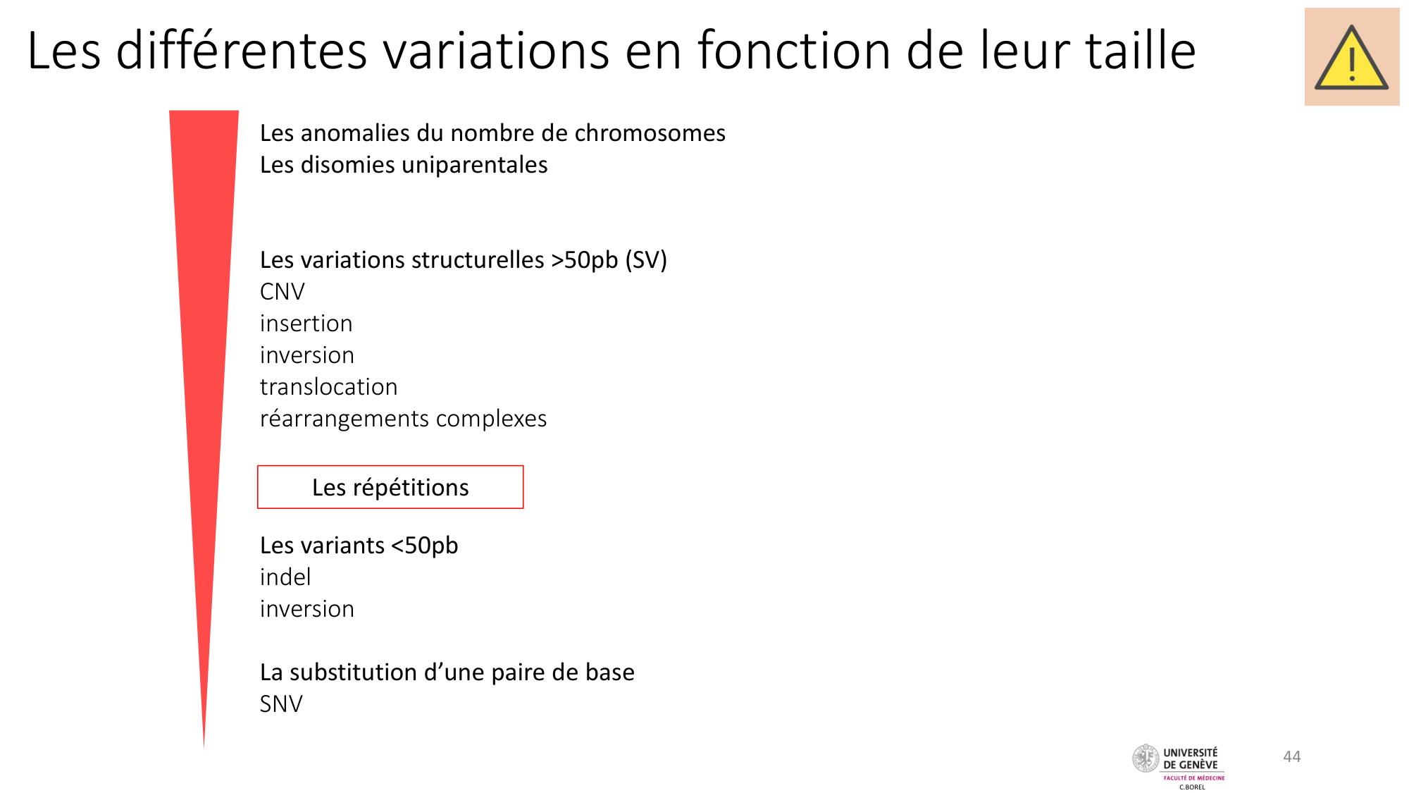 Génétique humaine — session 1 page 44