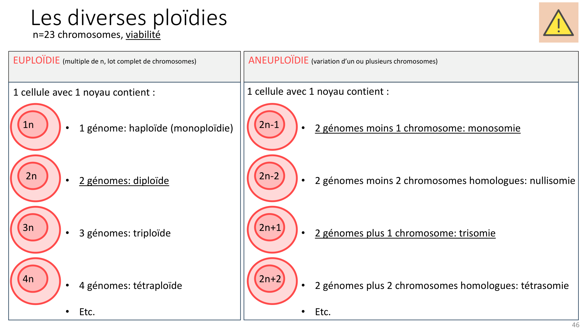 Génétique humaine — session 1 page 46