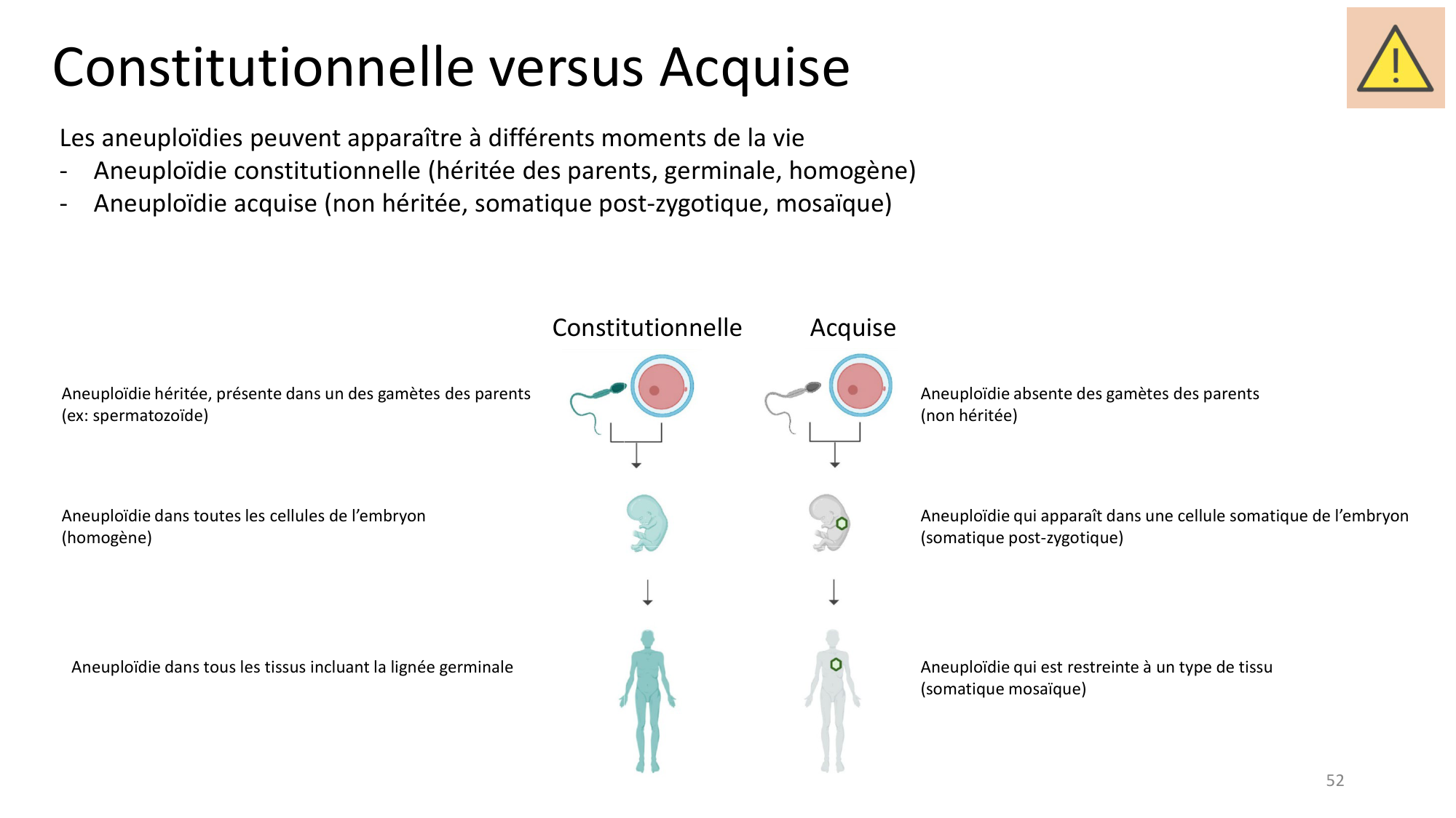 Génétique humaine — session 1 page 52