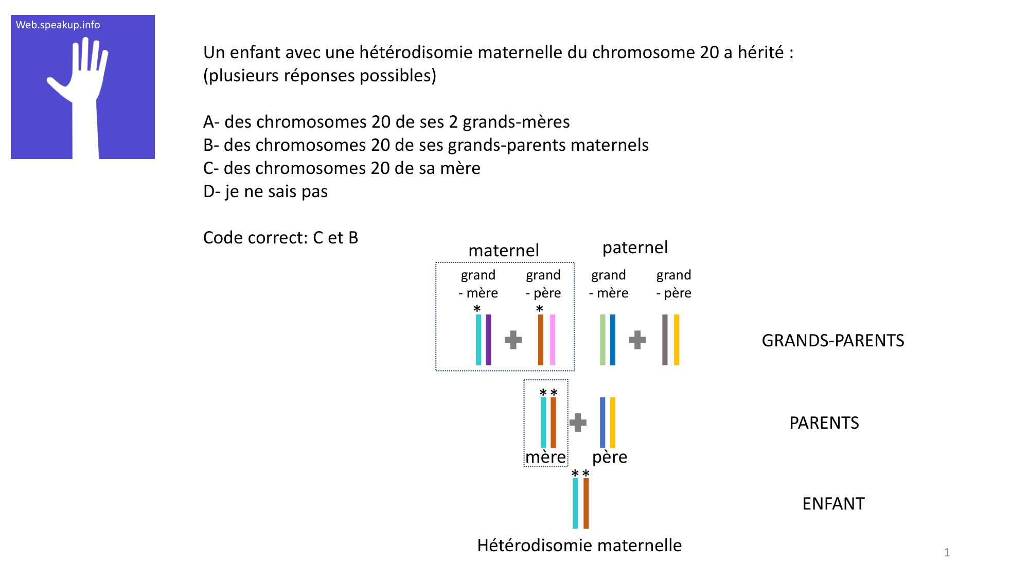 Génétique humaine — session 2 · corrections page 1