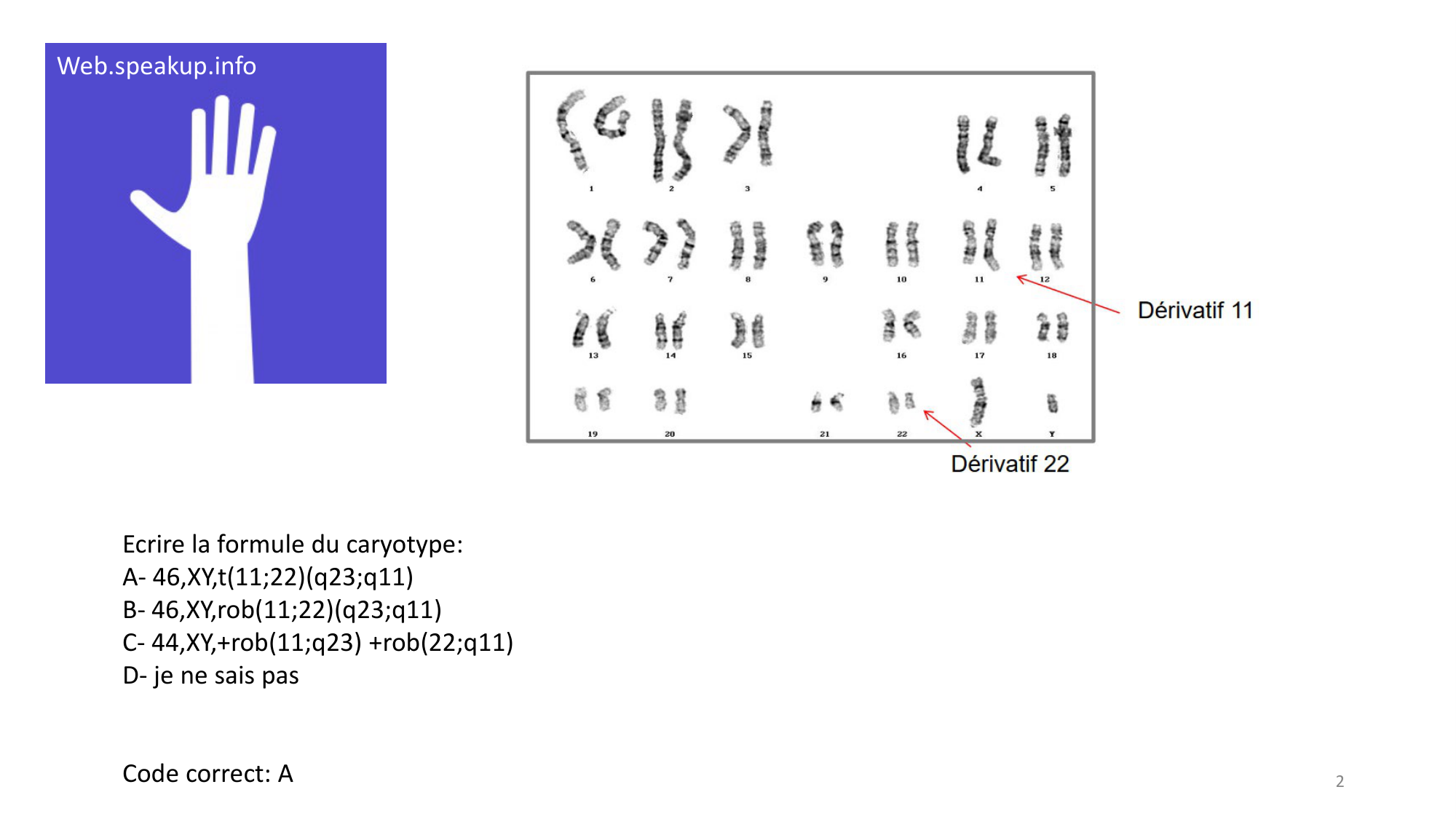 Génétique humaine — session 2 · corrections page 2