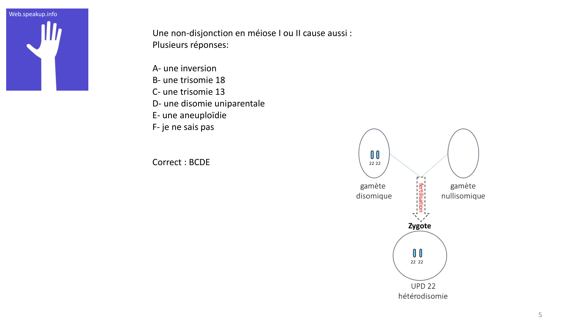 Génétique humaine — session 2 · corrections page 5