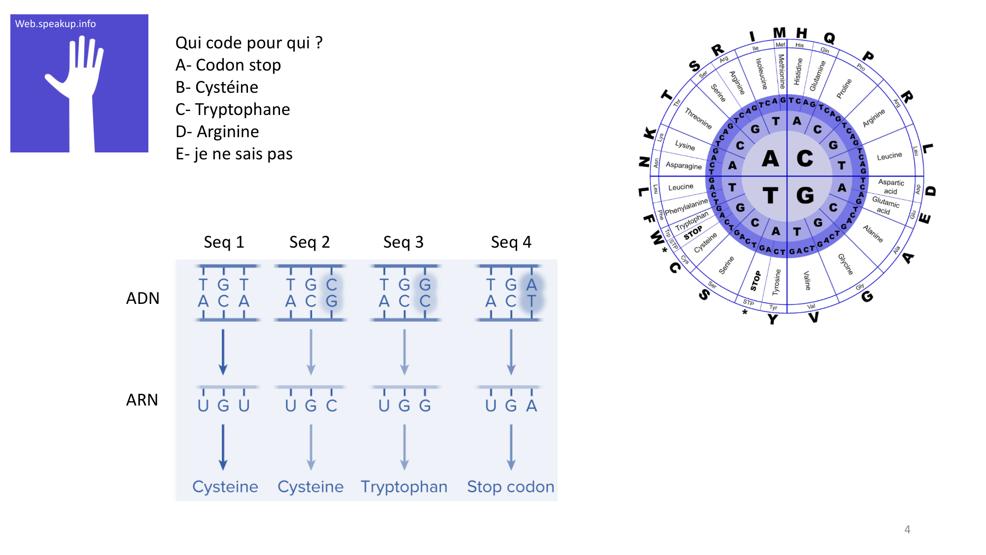 Génétique humaine — session 3 · corrections page 4