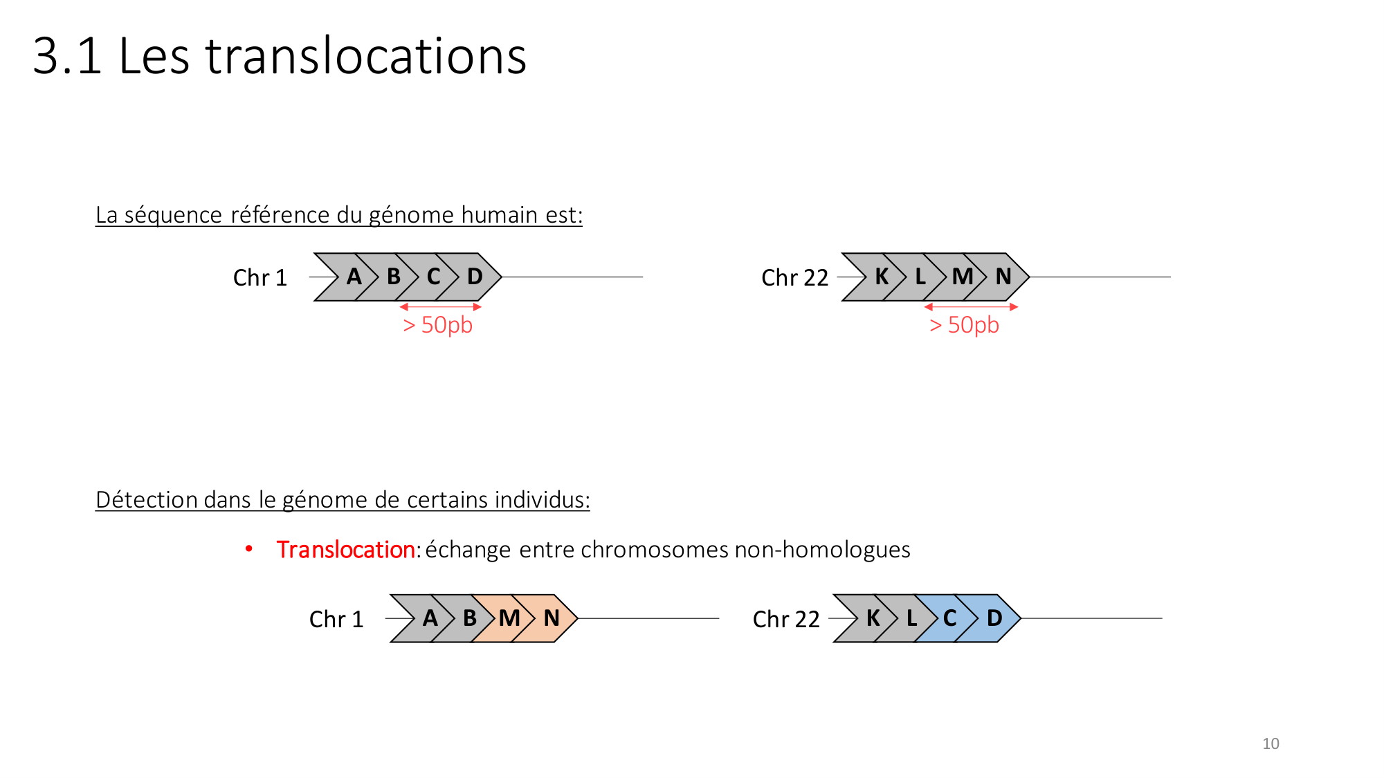 Génétique humaine — session 2 page 10