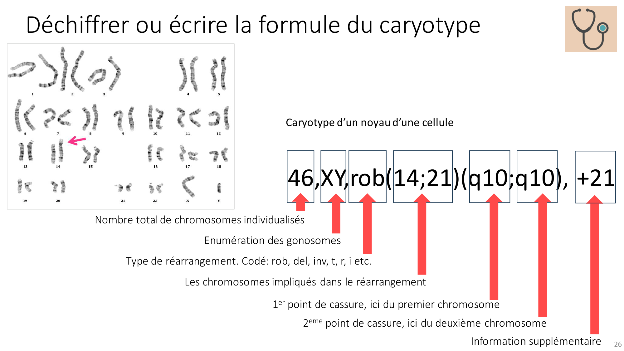 Génétique humaine — session 2 page 26