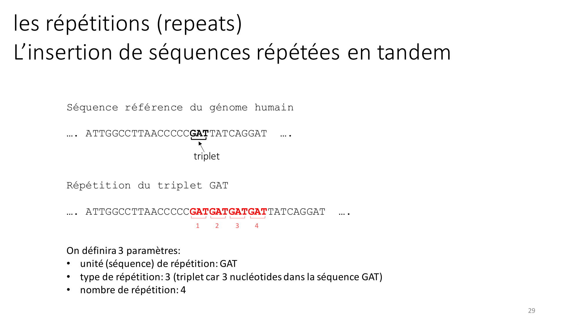 Génétique humaine — session 2 page 29