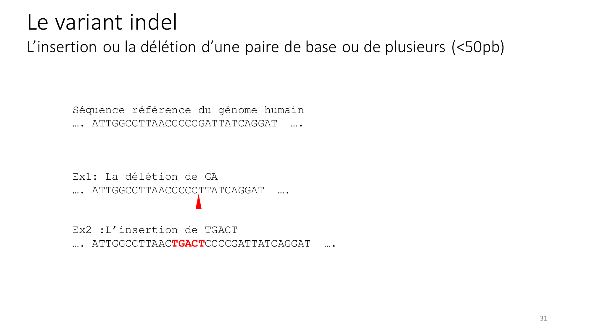 Génétique humaine — session 2 page 31