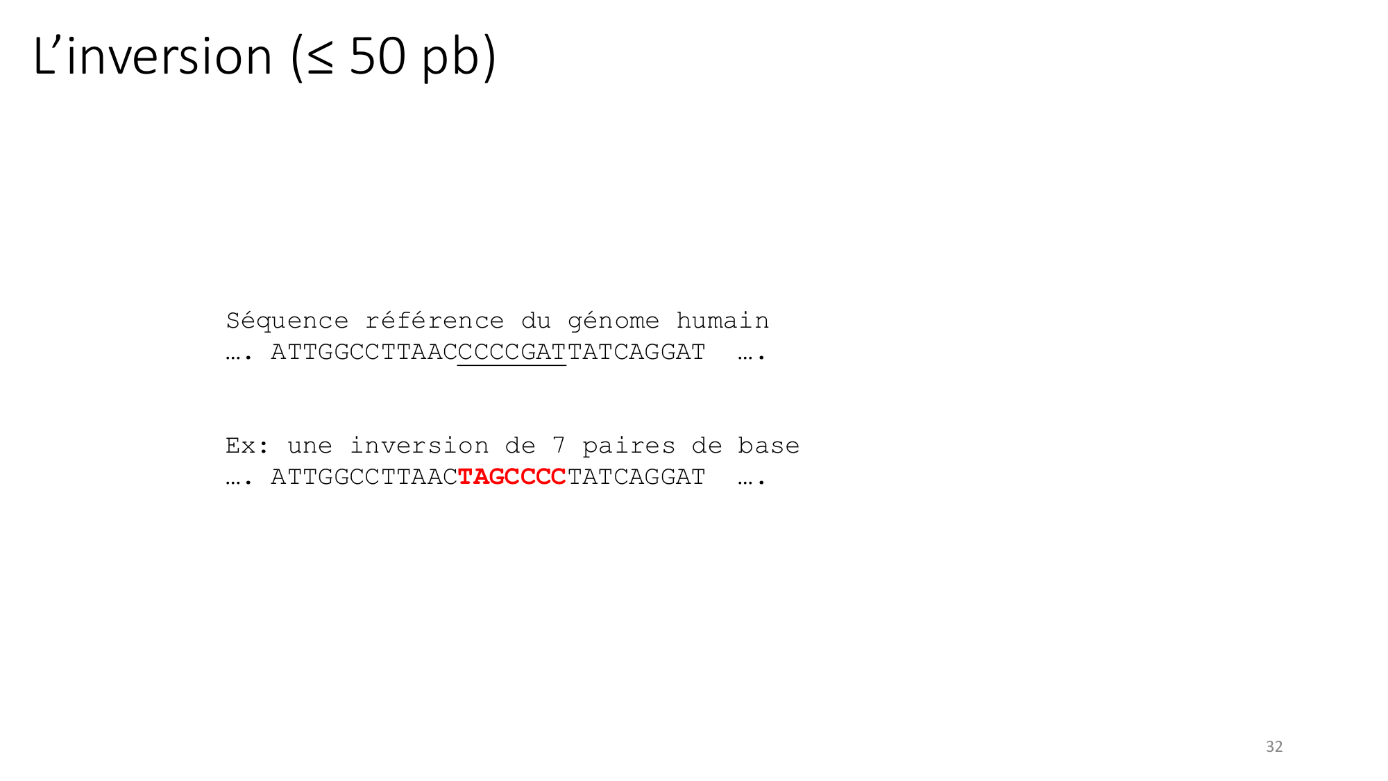 Génétique humaine — session 2 page 32