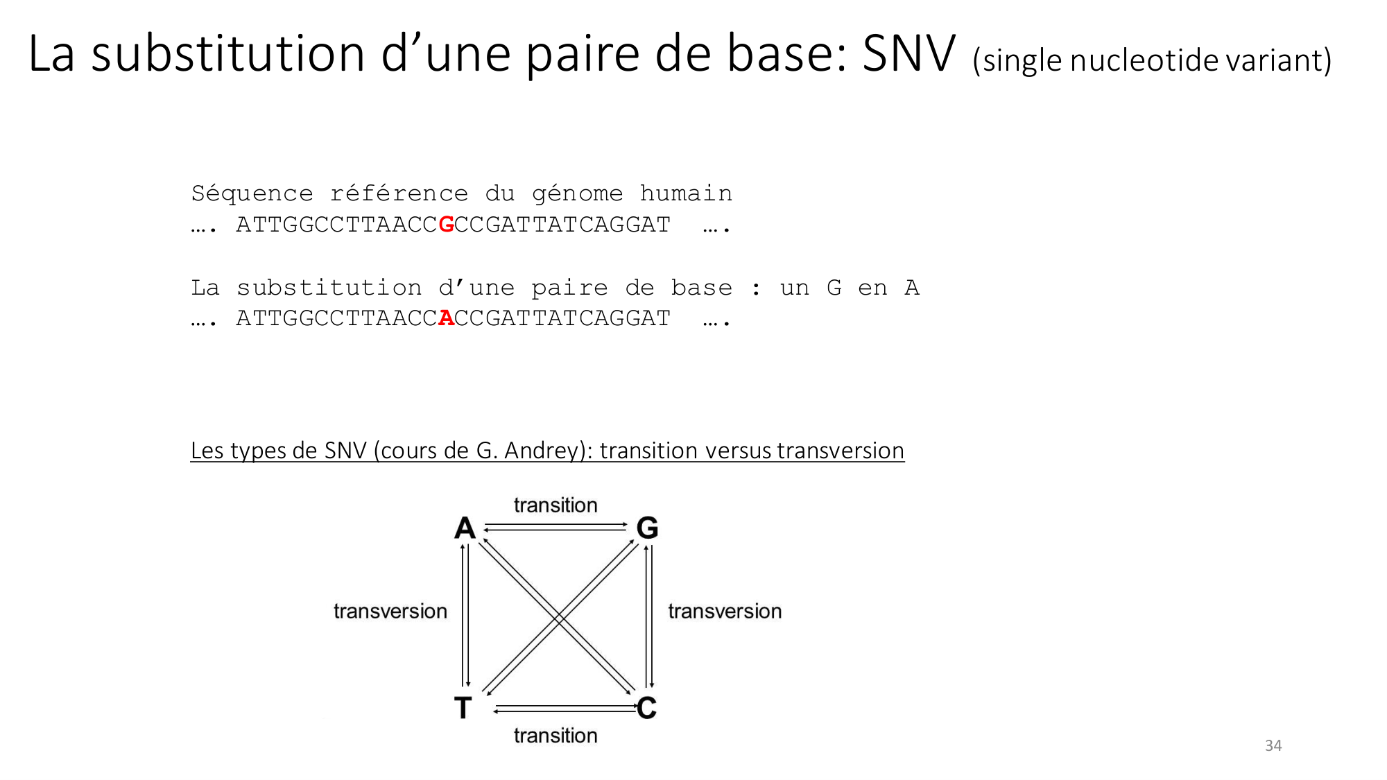 Génétique humaine — session 2 page 34