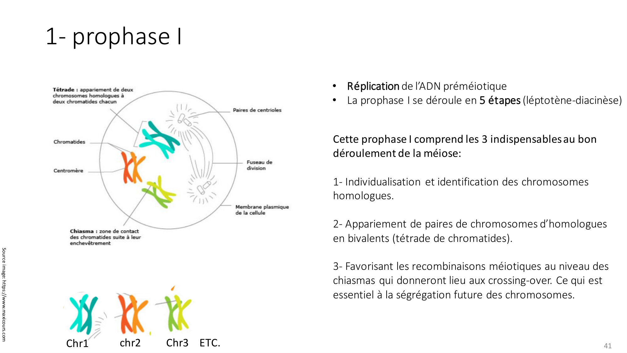 Génétique humaine — session 2 page 41