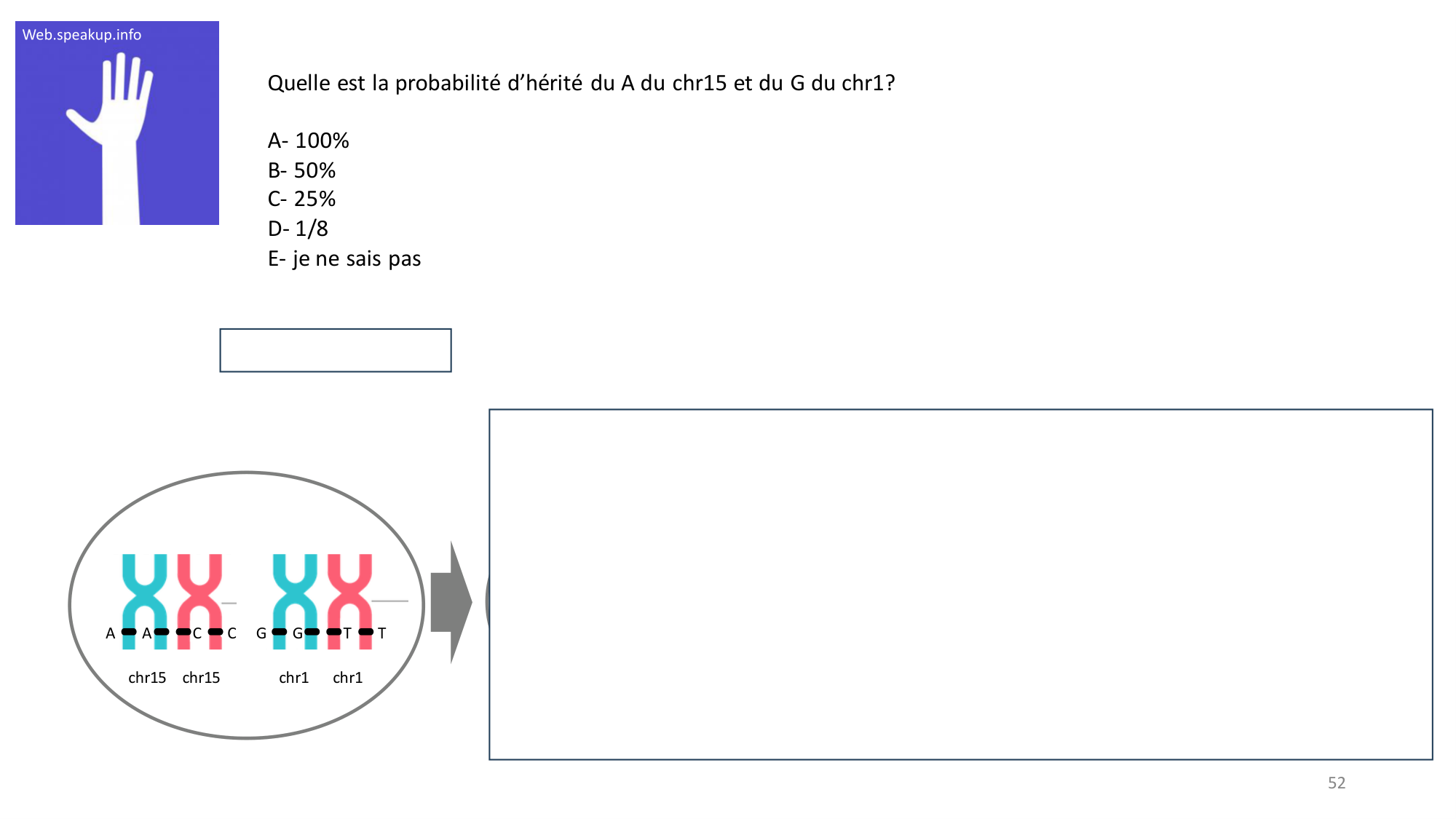 Génétique humaine — session 2 page 52