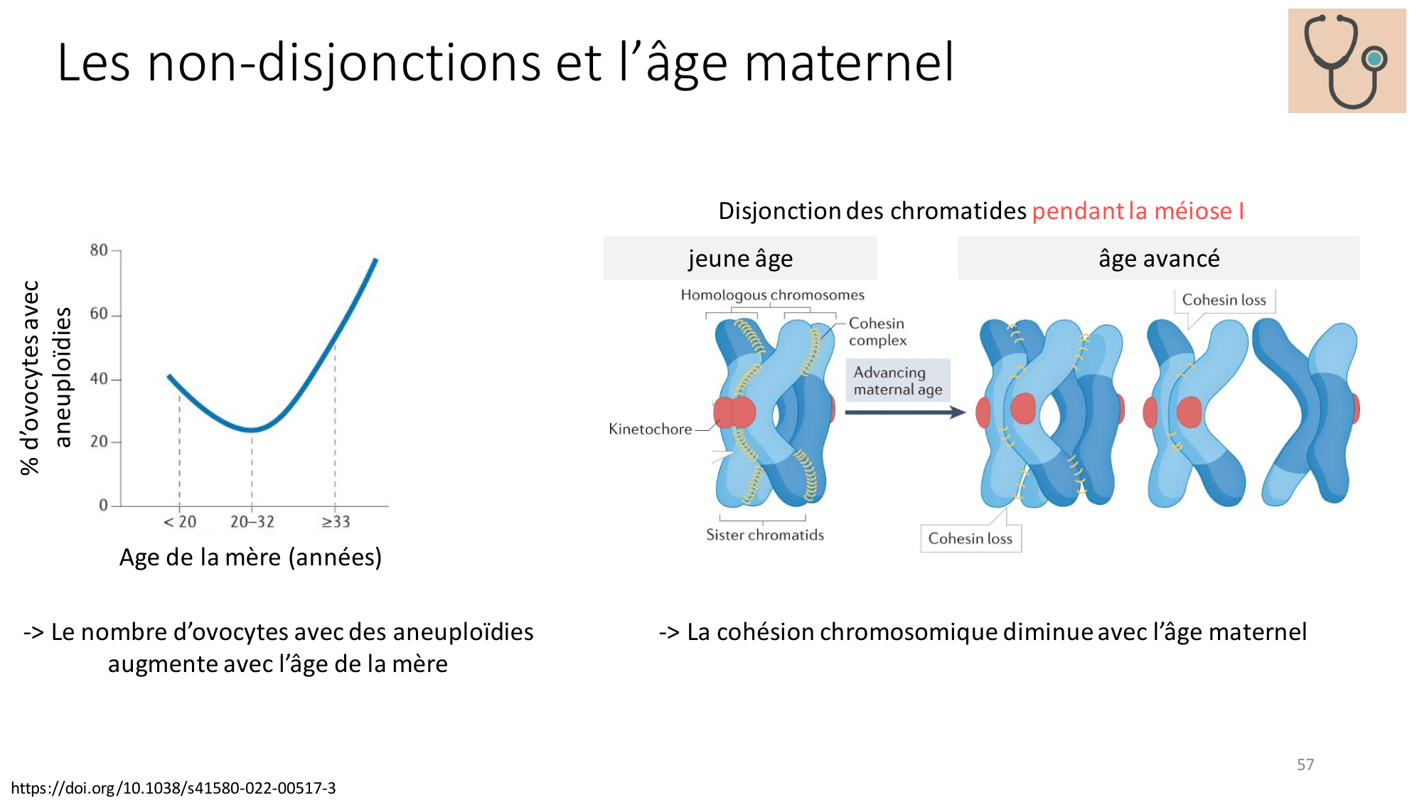 Génétique humaine — session 2 page 57