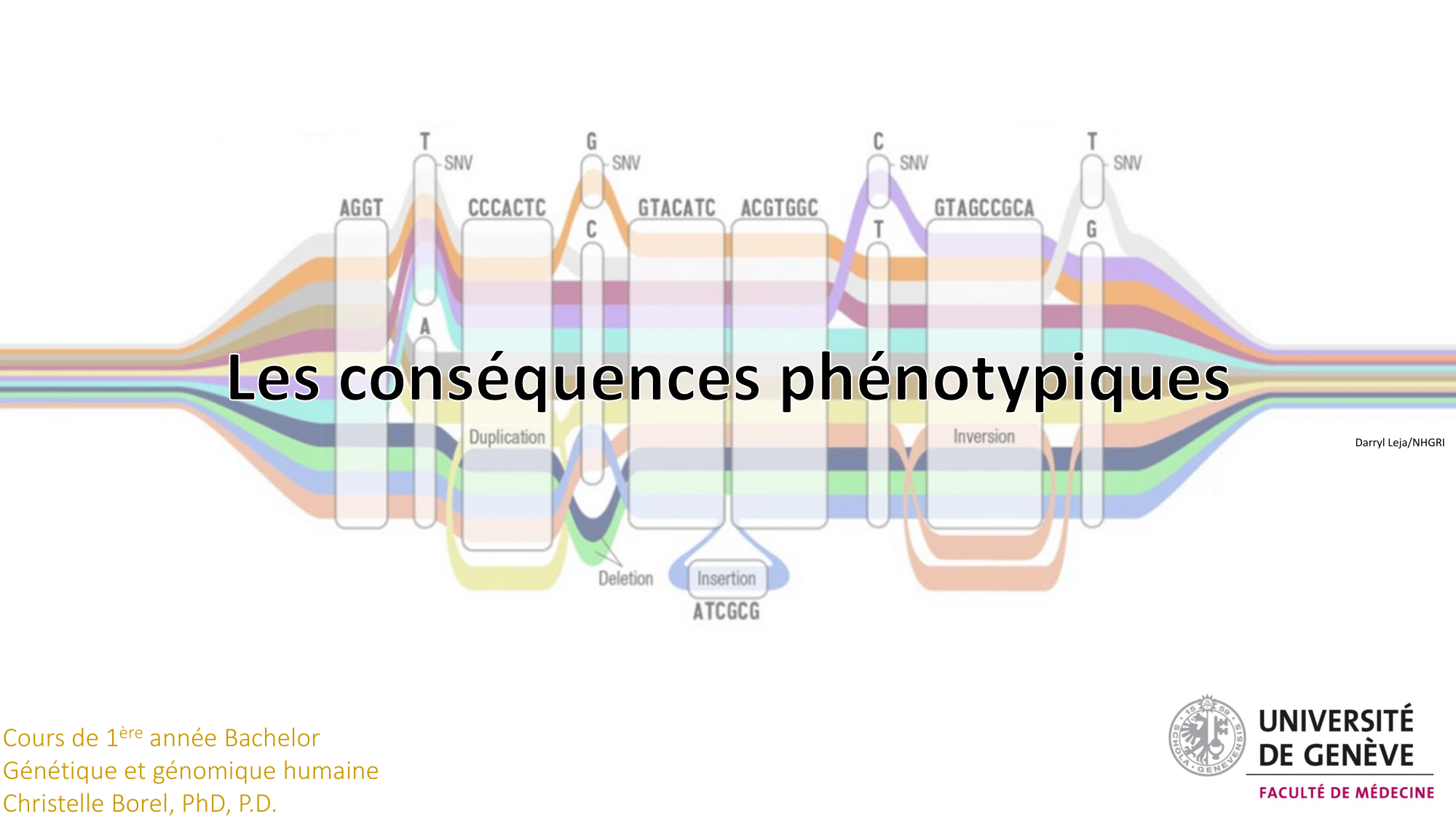 Génétique humaine — session 3 page 4
