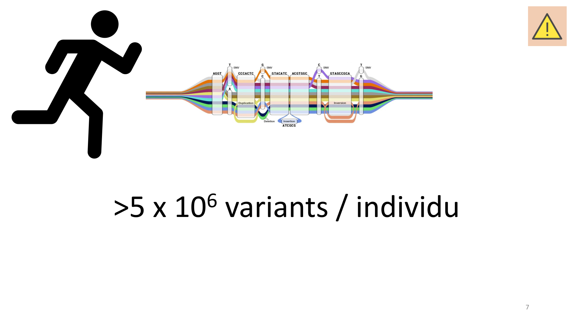 Génétique humaine — session 3 page 7
