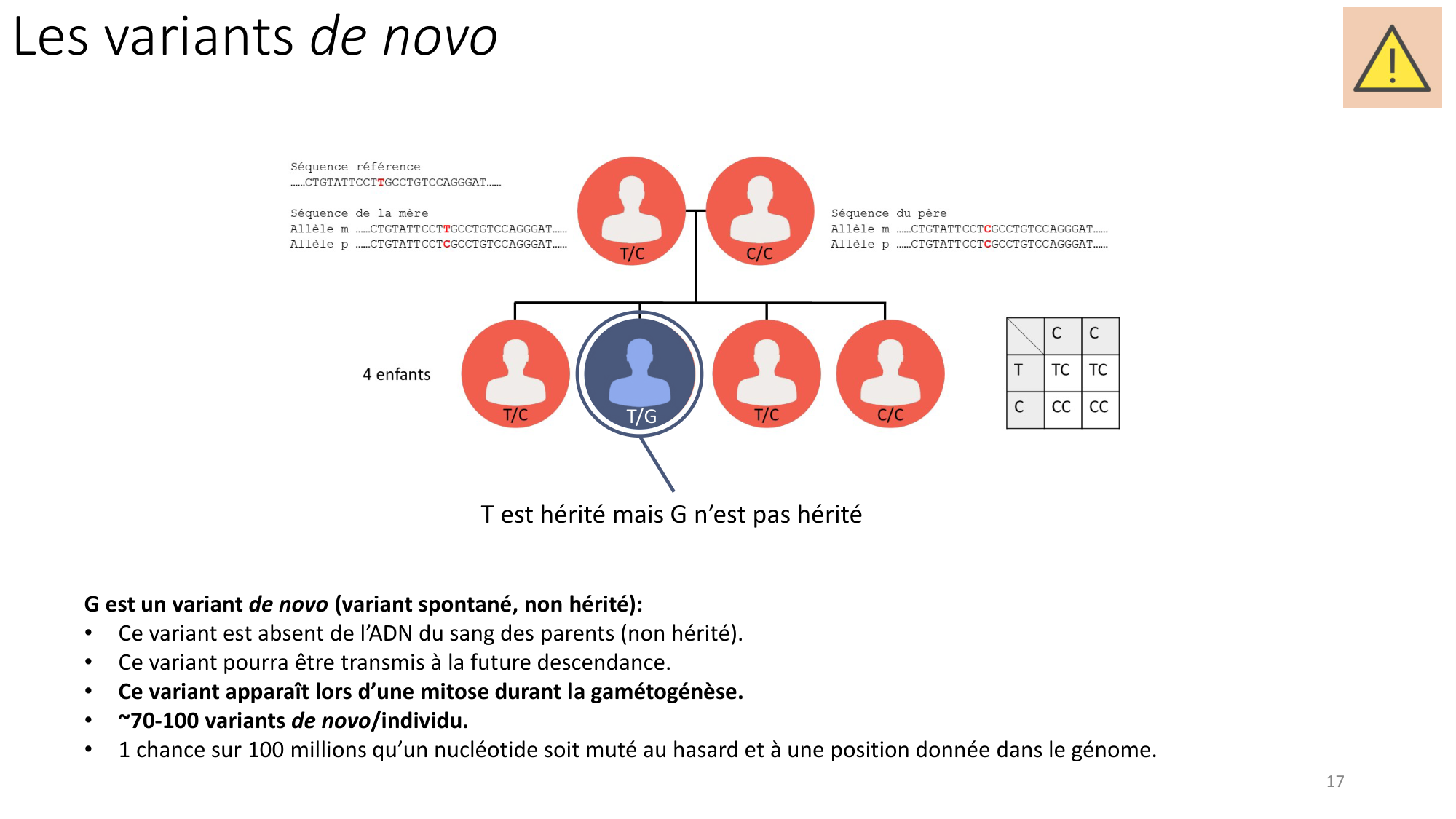 Génétique humaine — session 3 page 17