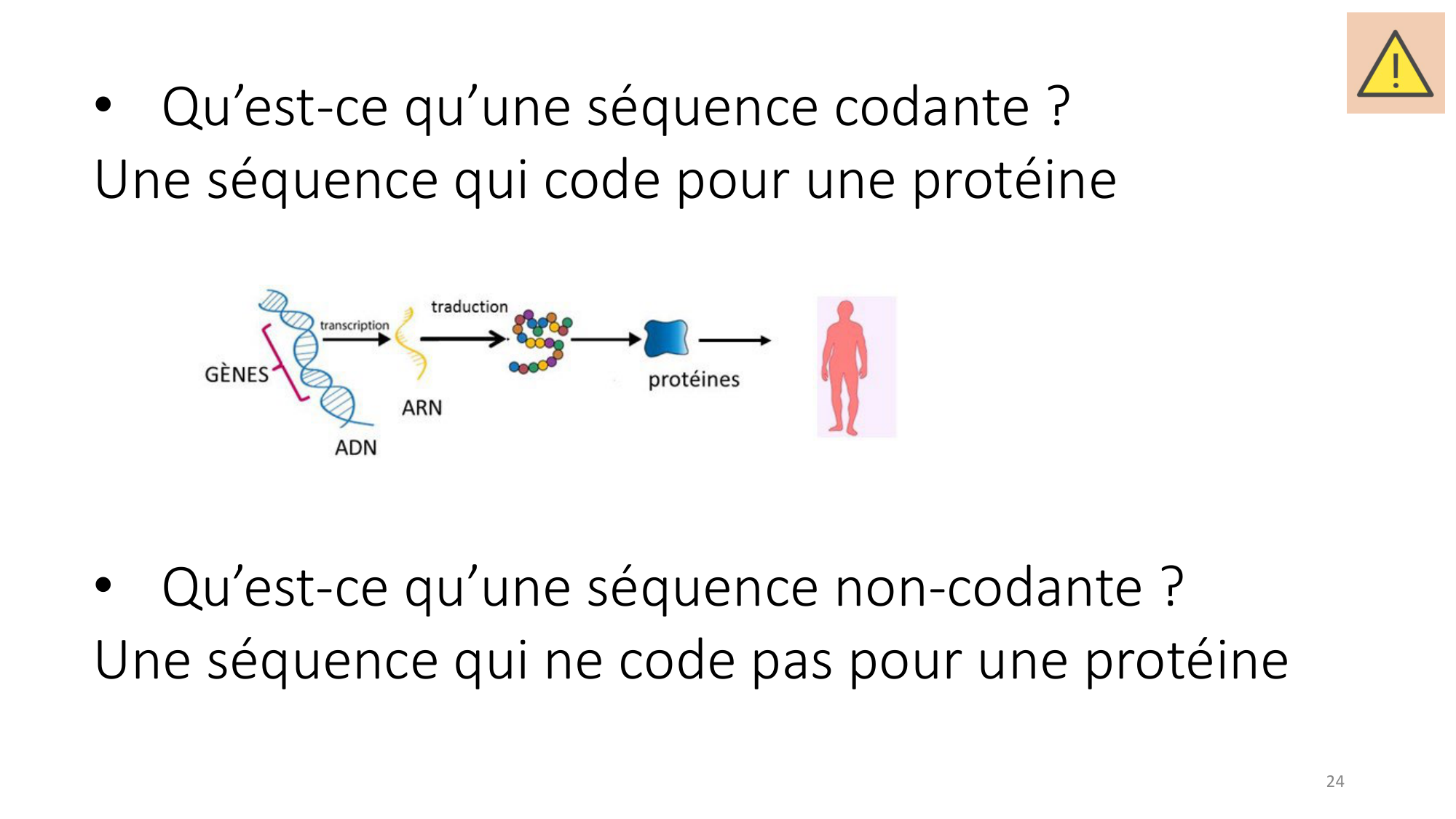 Génétique humaine — session 3 page 24