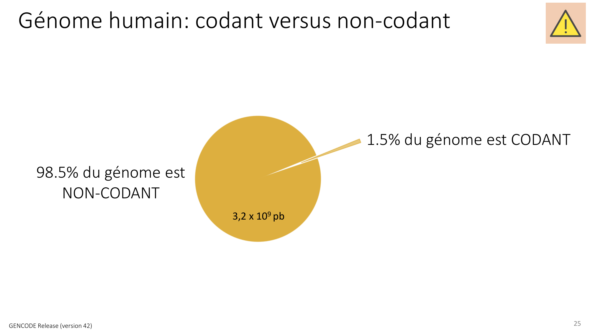 Génétique humaine — session 3 page 25